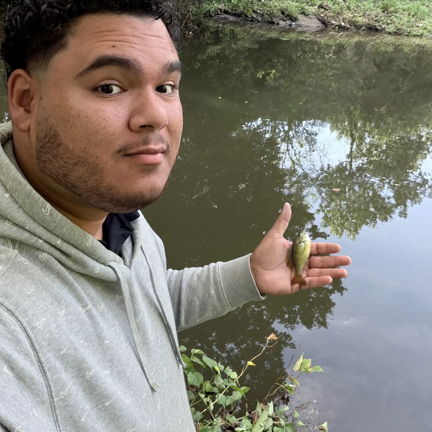 Bluegill caught on Fishbrain