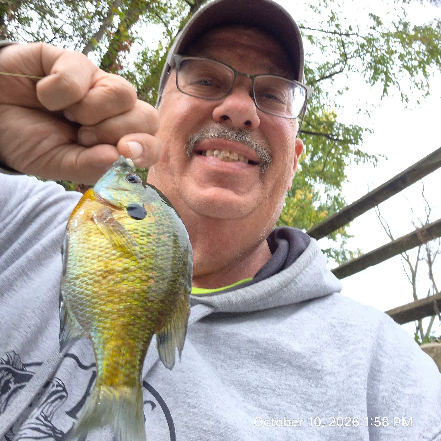 Bluegill caught on Fishbrain