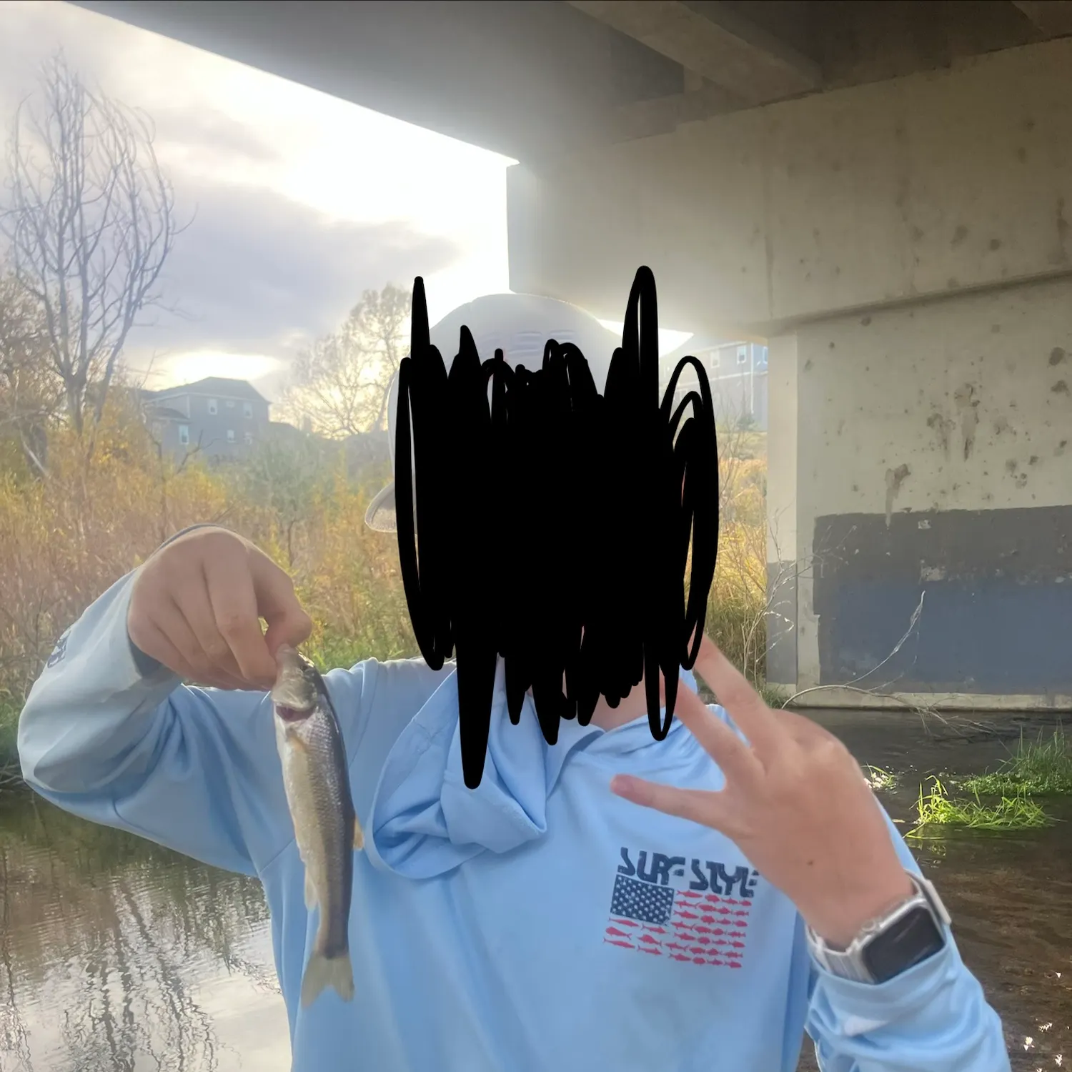 Creek chub caught on Fishbrain