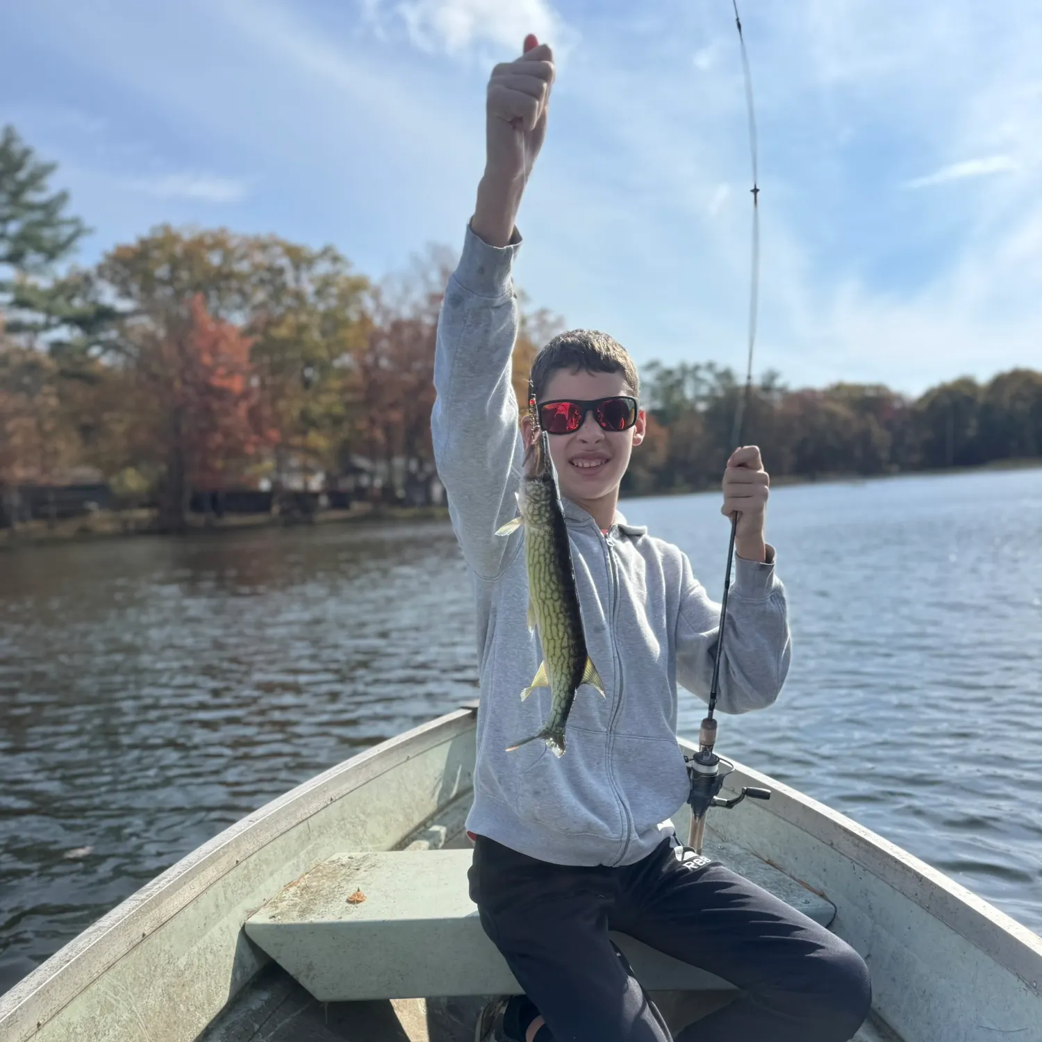 Chain pickerel caught on Fishbrain
