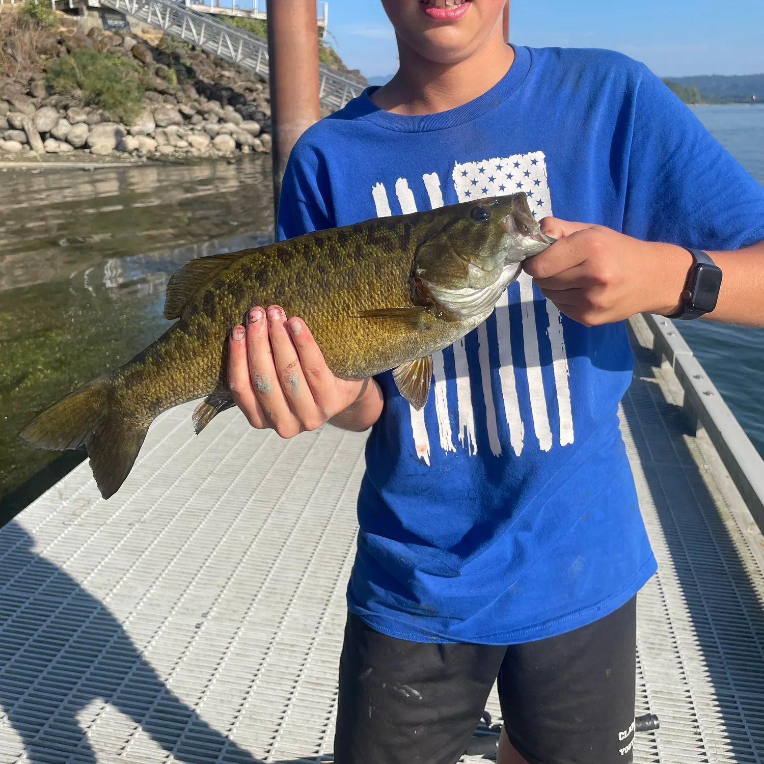 Smallmouth bass caught on Fishbrain
