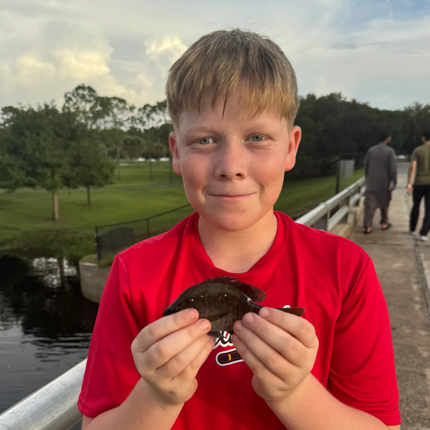 Bluegill caught on Fishbrain