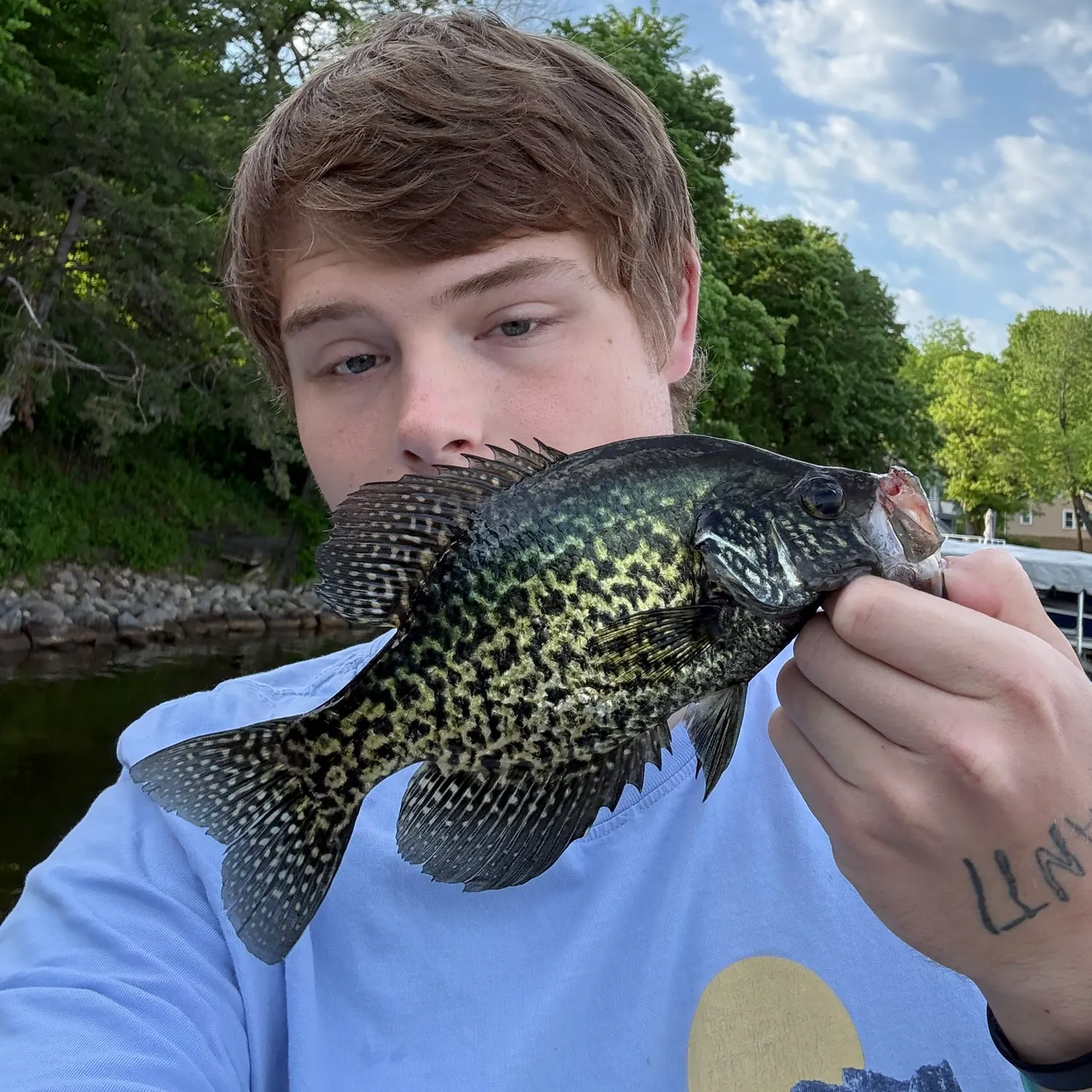 The most recent Black crappie catches on Fishbrain