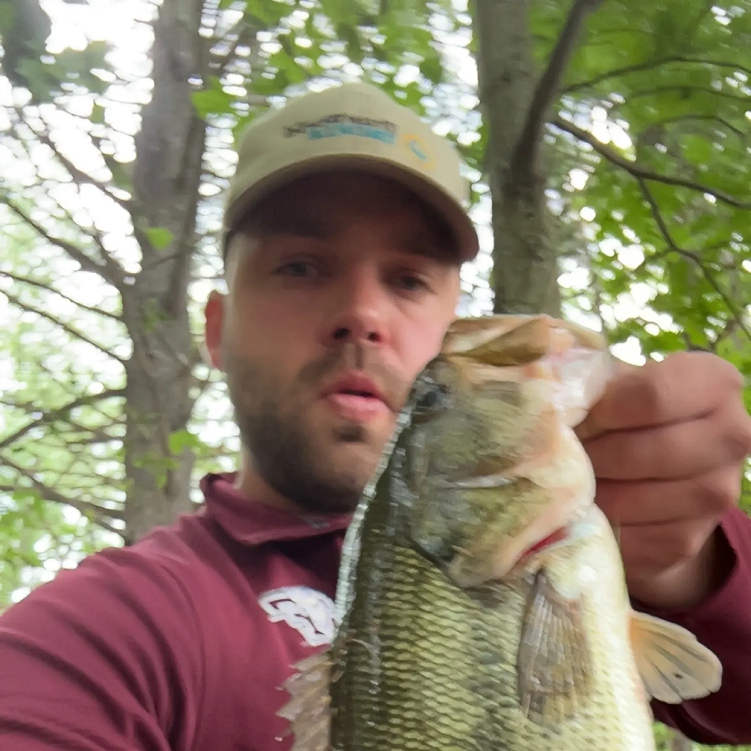 angler catch