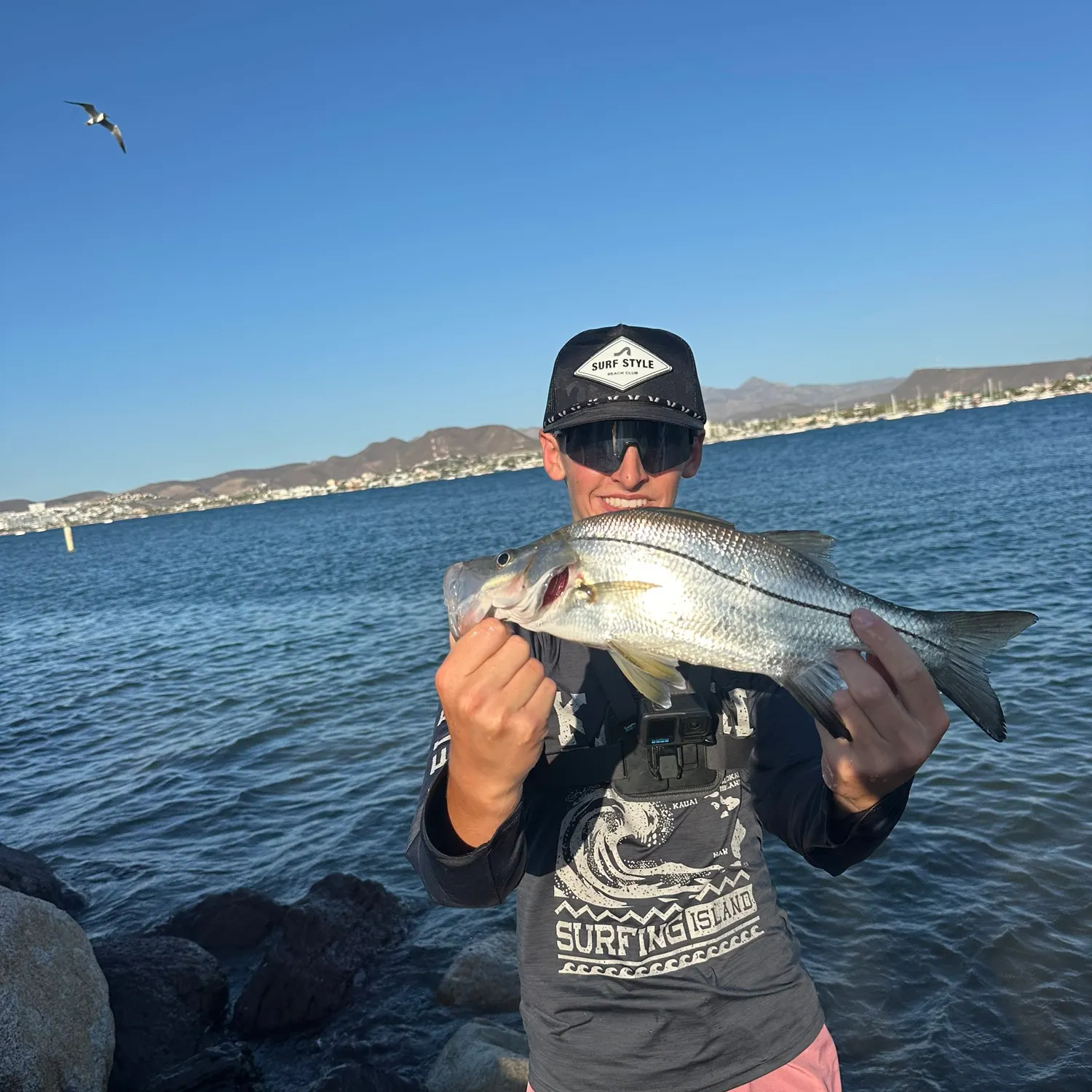 The most recent White snook catches on Fishbrain