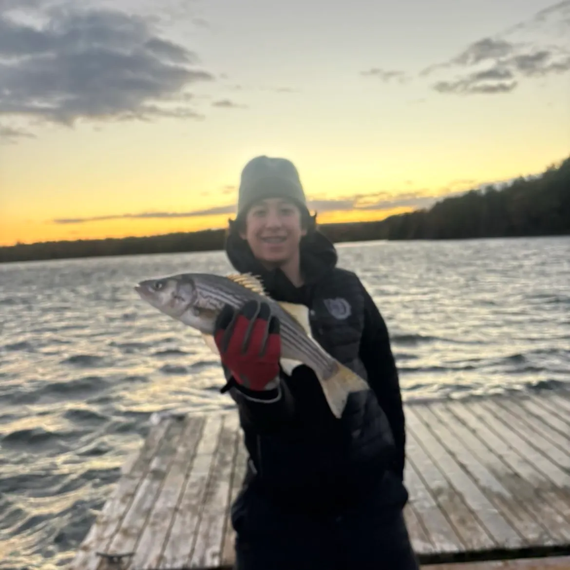 Striped bass caught on Fishbrain