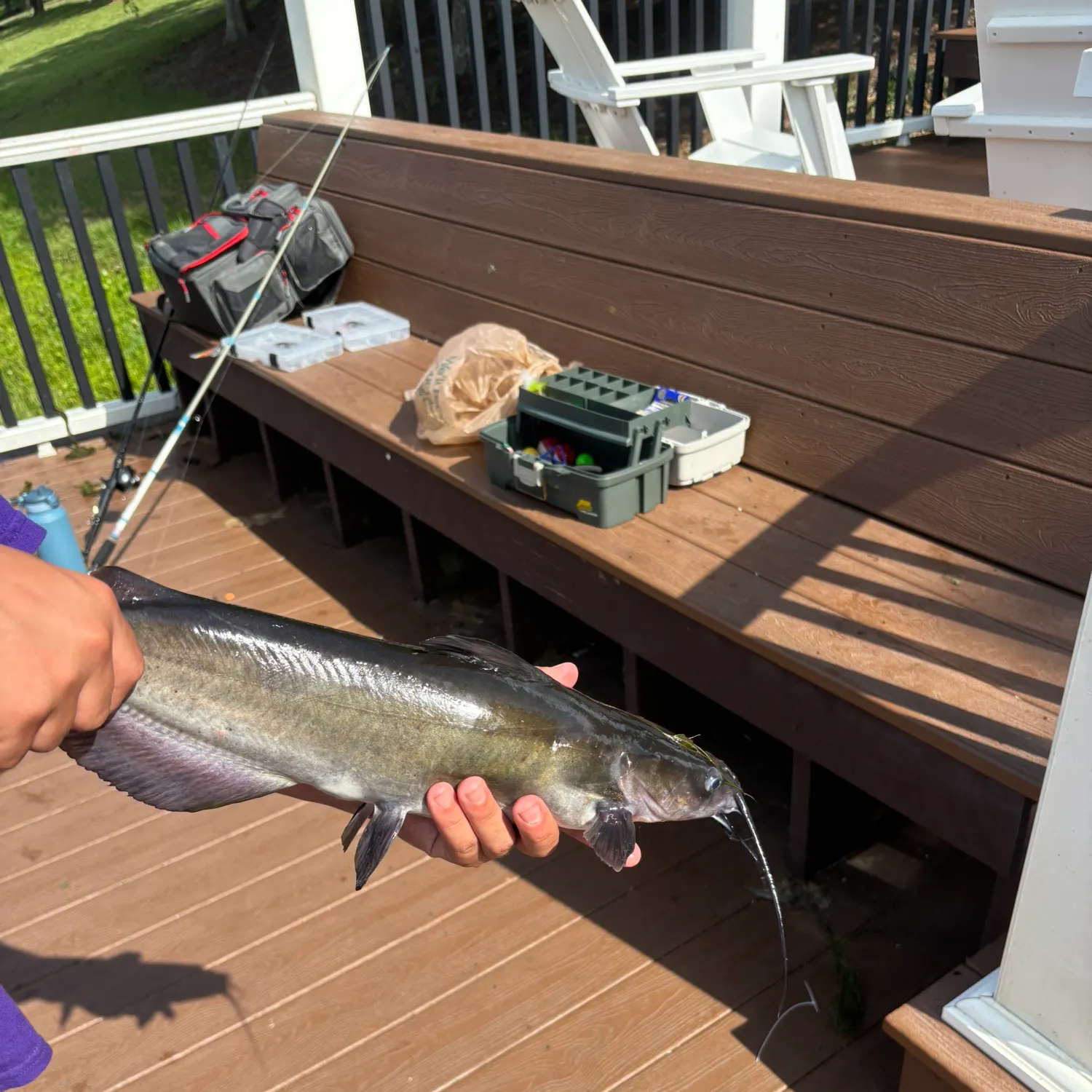 catch
