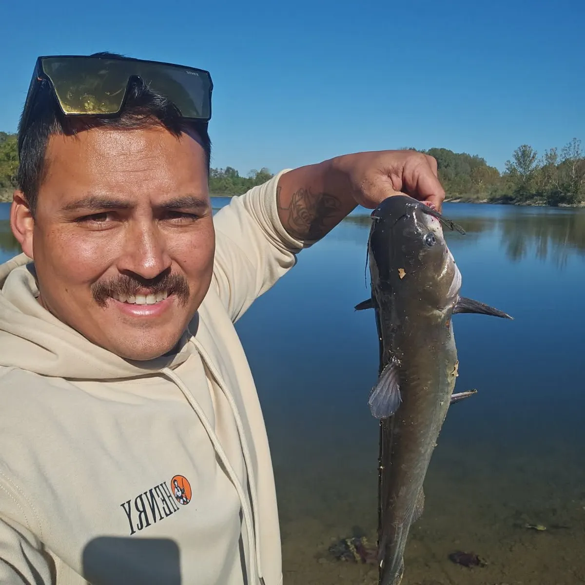 Channel catfish caught on Fishbrain