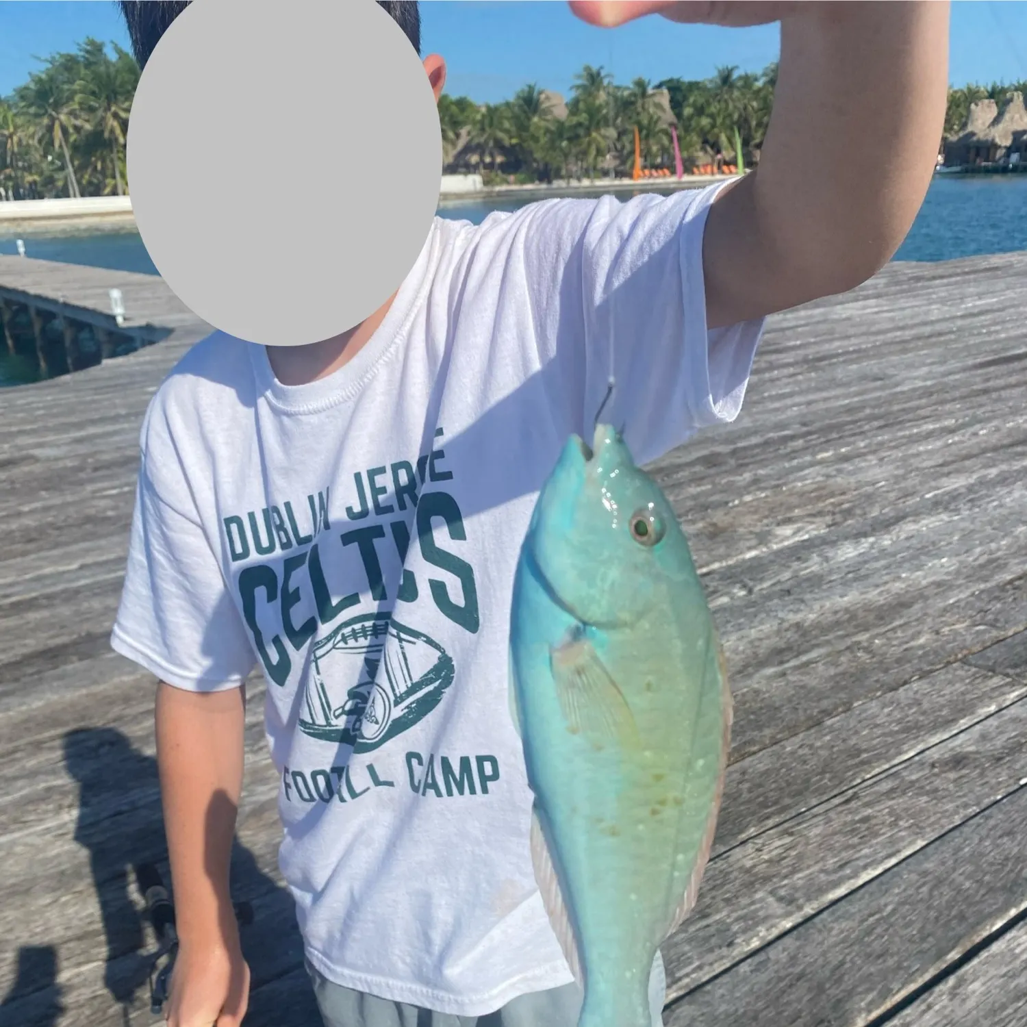 The most recent Ember parrotfish catches on Fishbrain