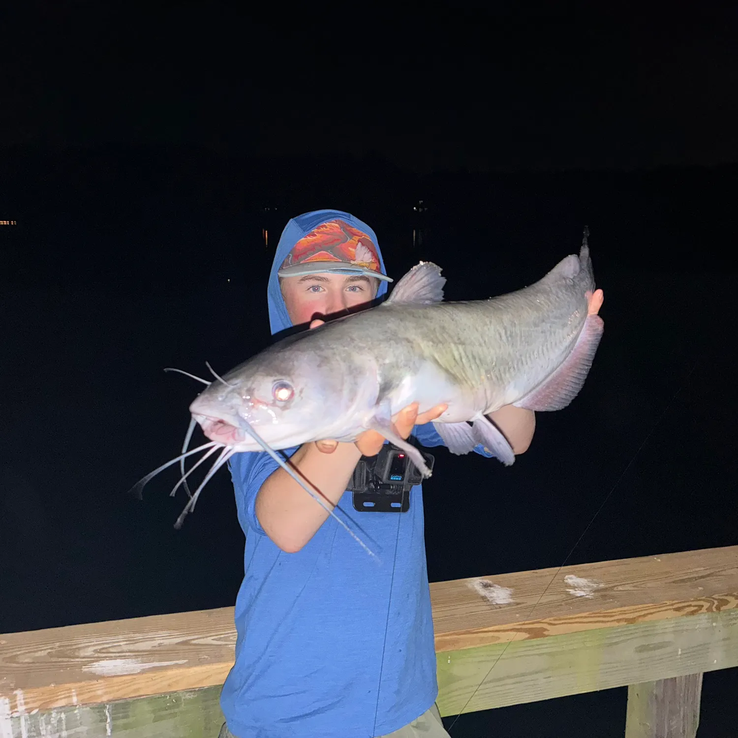 Channel catfish caught on Fishbrain