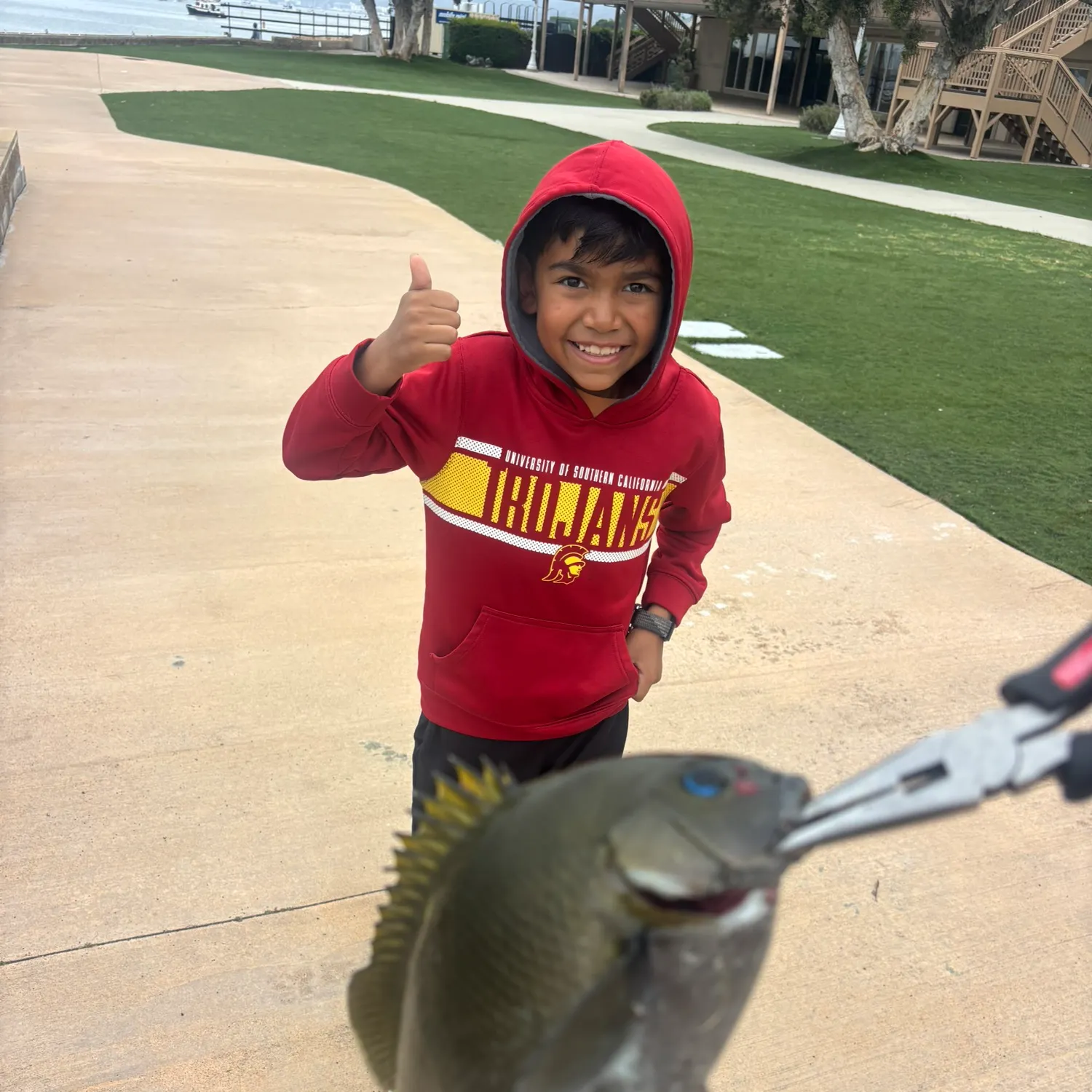 The most recent Blacksmith catches on Fishbrain