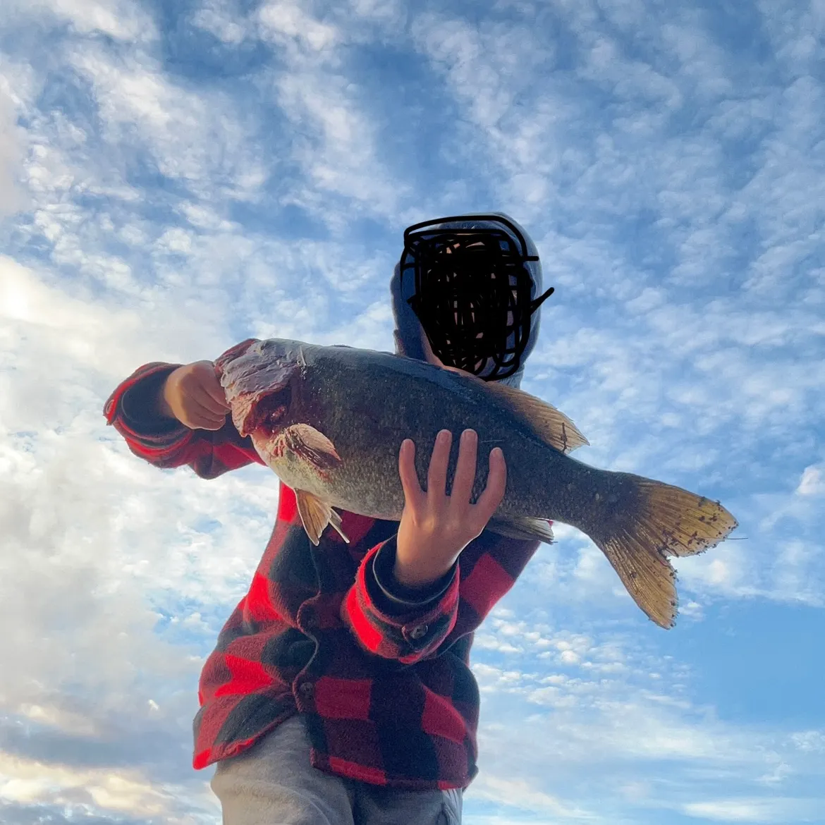 Smallmouth bass caught on Fishbrain