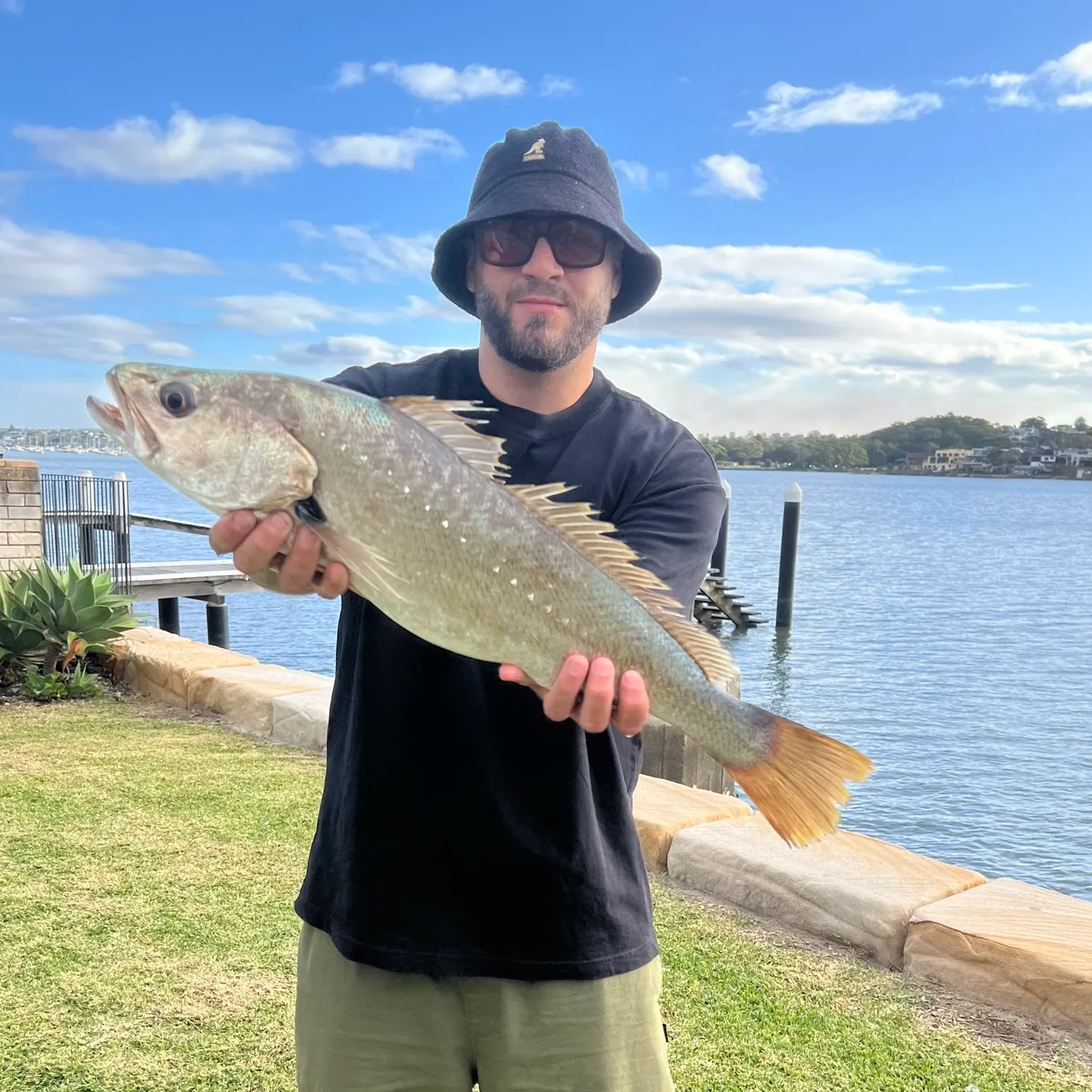 The most recent Japanese meagre catches on Fishbrain