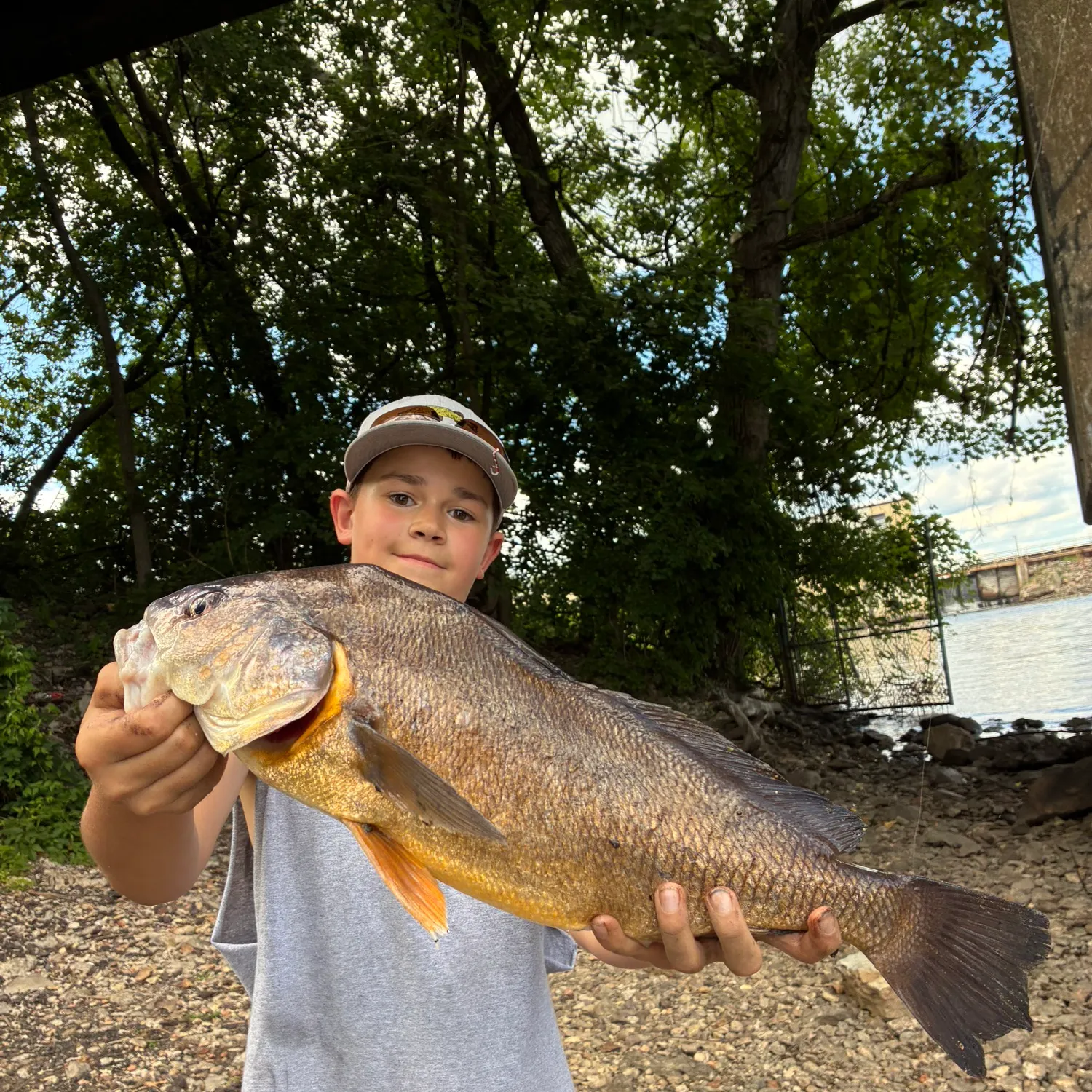 The most recent Freshwater drum catches on Fishbrain