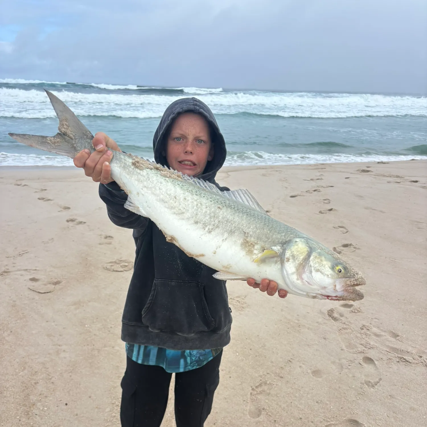 The most recent Western Australian salmon catches on Fishbrain