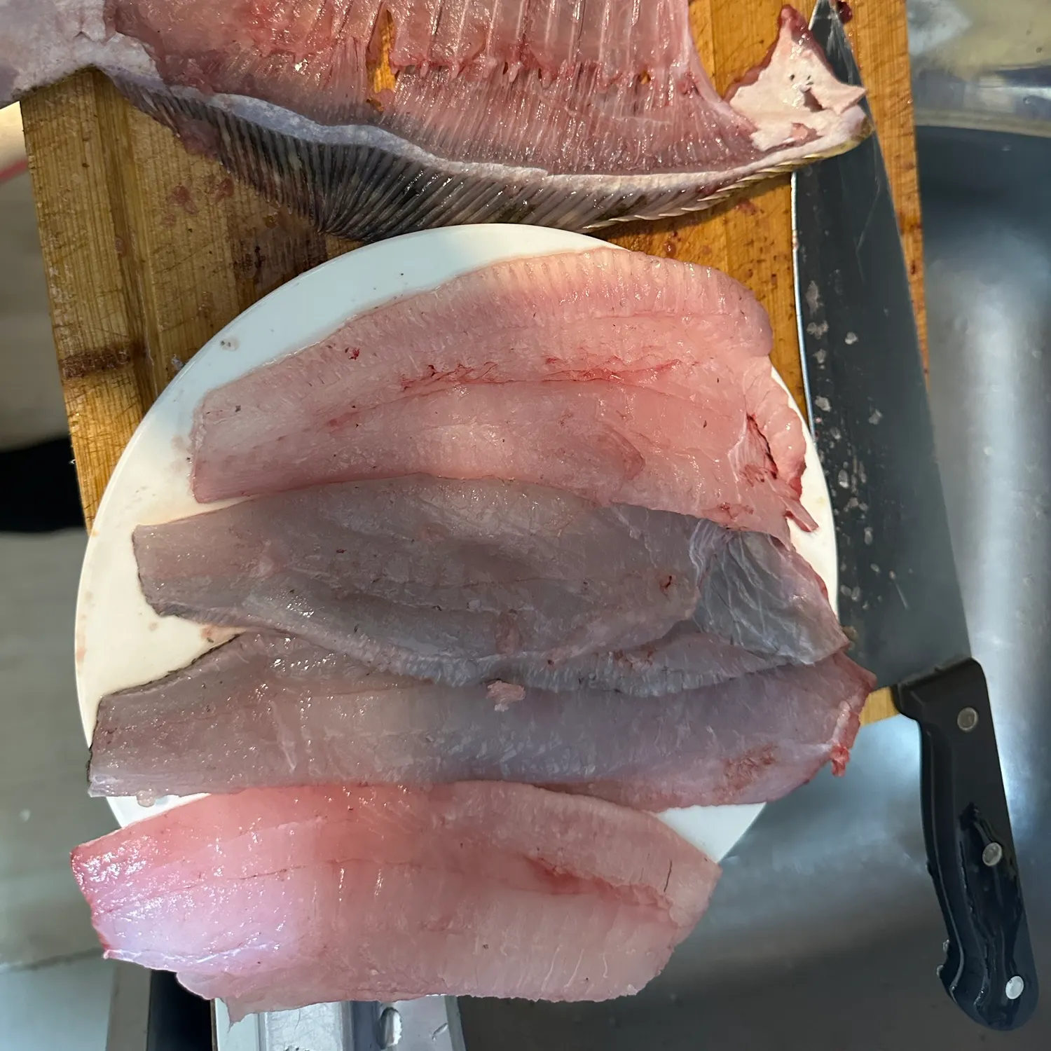 Lenguado de ojos chicos caught on Fishbrain