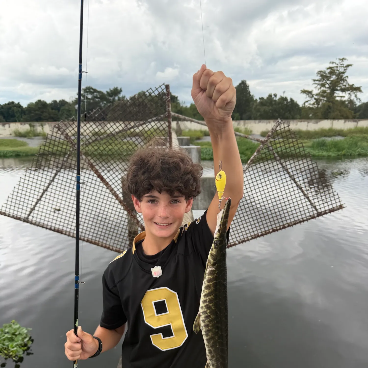 Spotted gar caught on Fishbrain