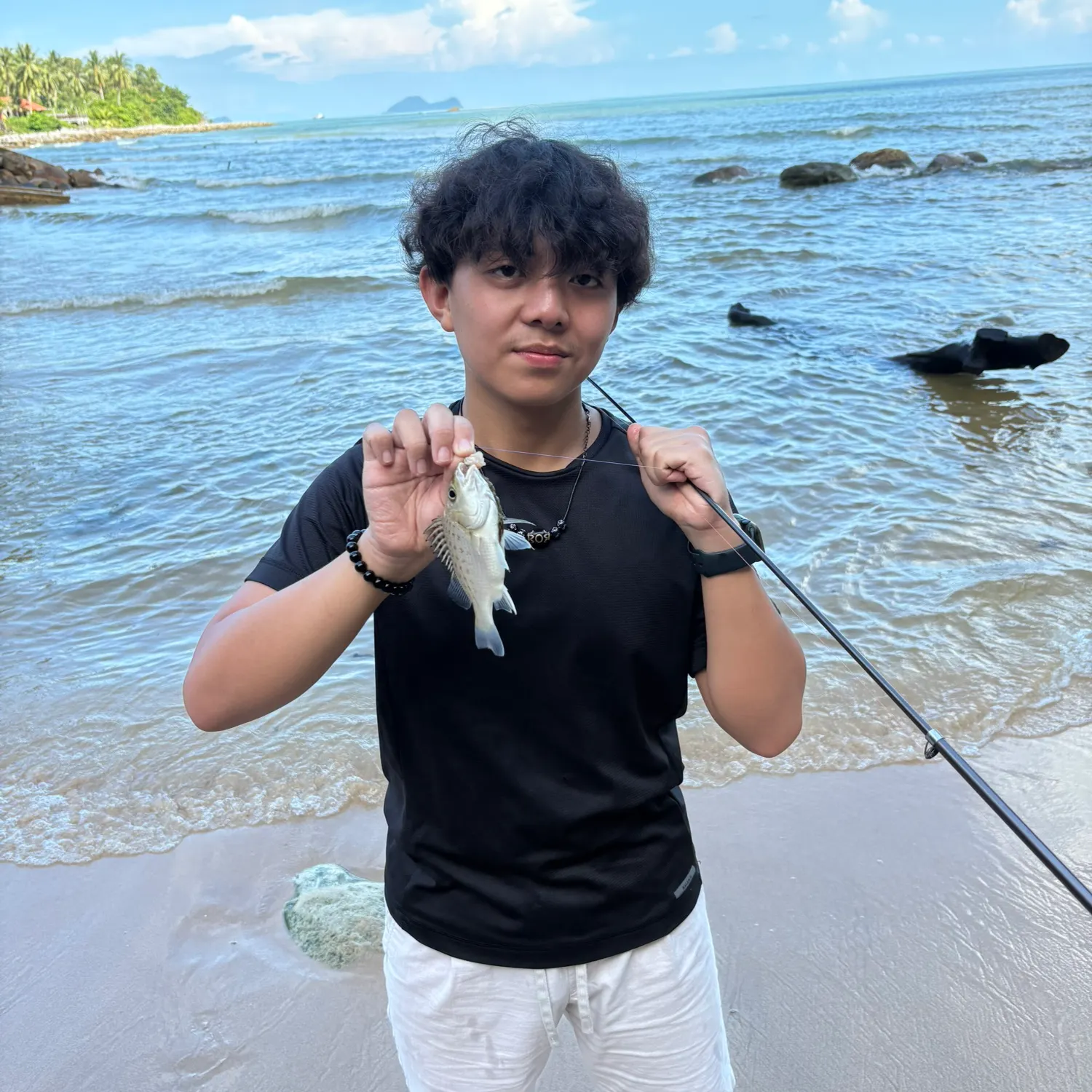 The most recent Silver grunt catches on Fishbrain