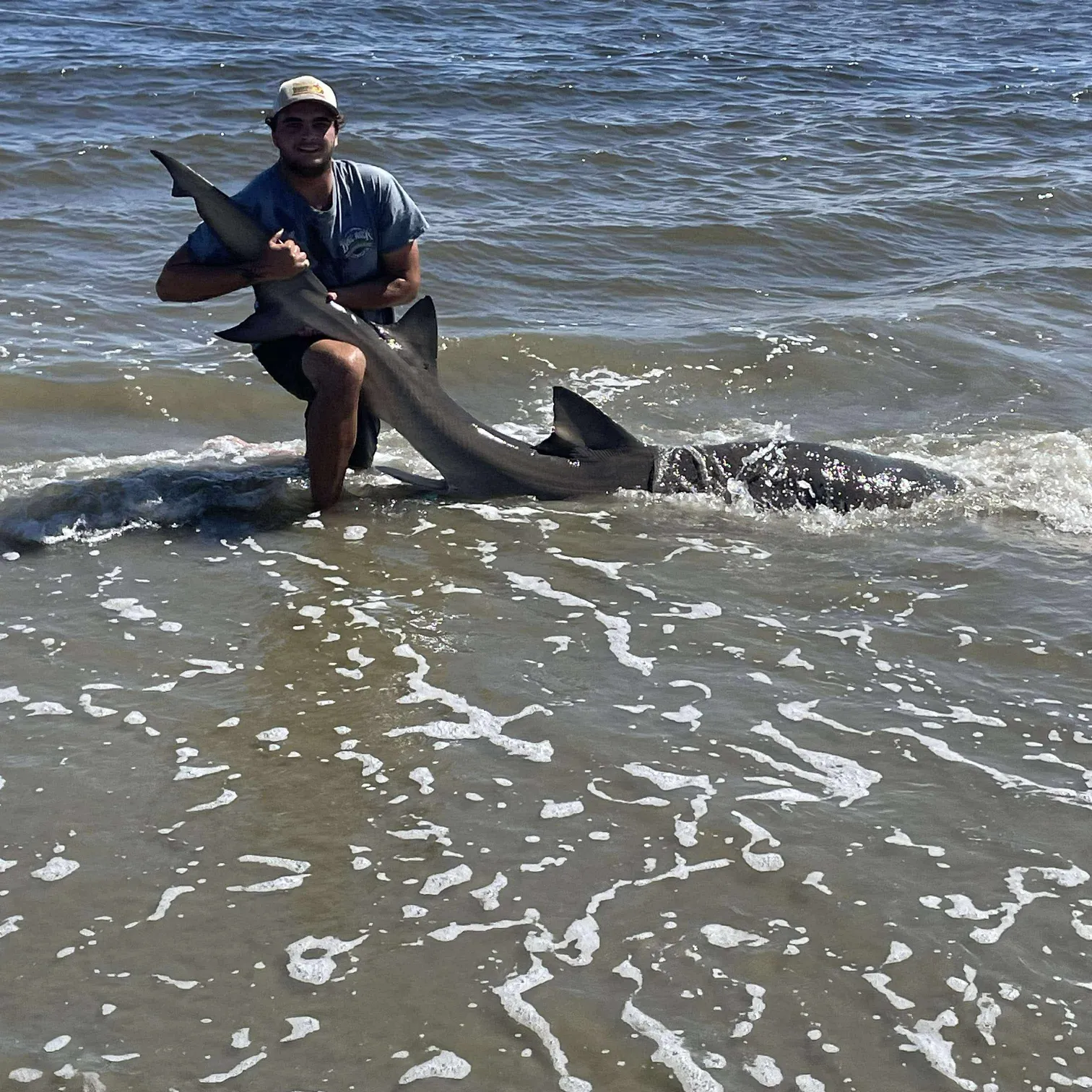 The most recent Lemon shark catches on Fishbrain