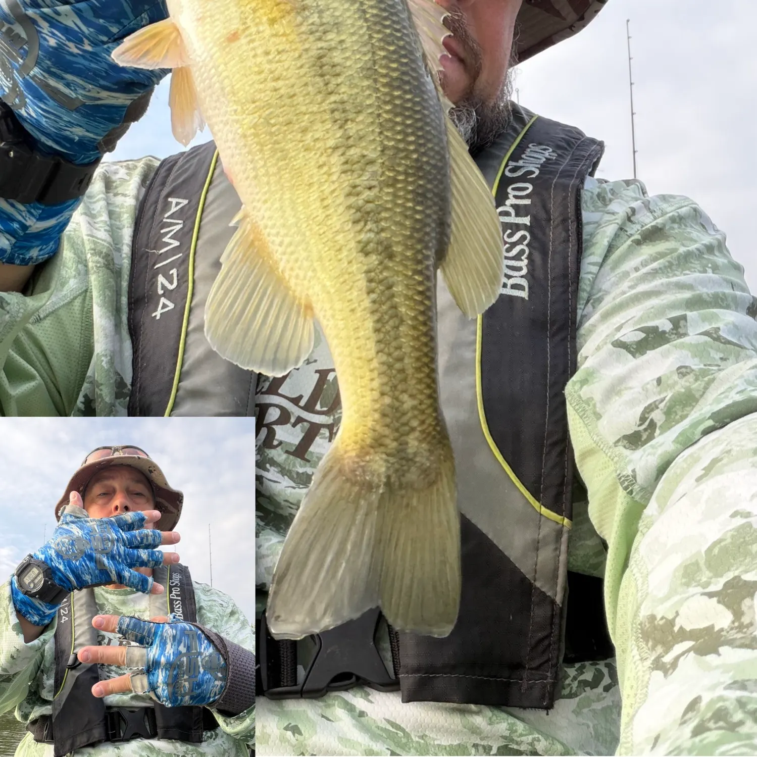 Largemouth bass caught on Fishbrain