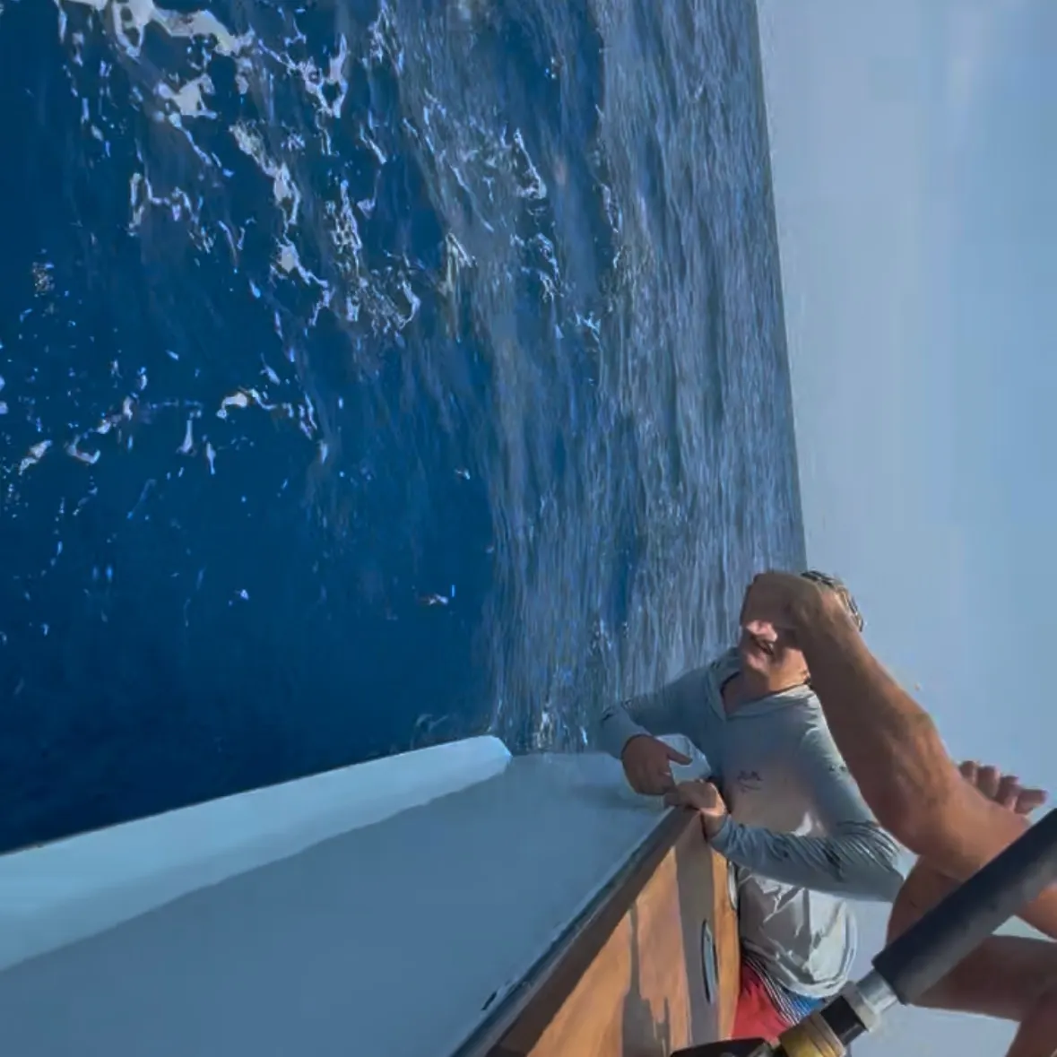 The most recent Indo-Pacific sailfish catches on Fishbrain