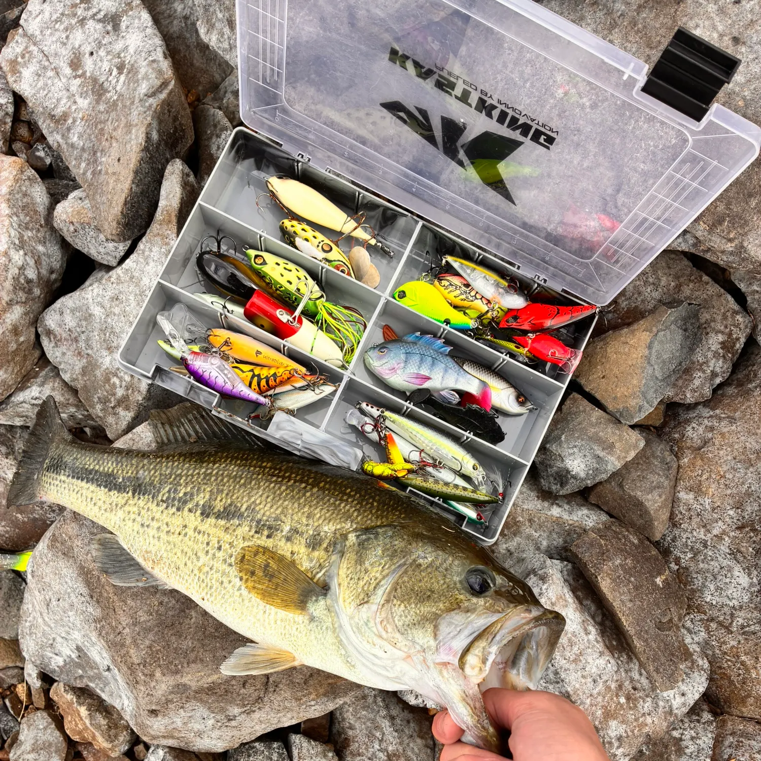 Largemouth bass caught on Fishbrain