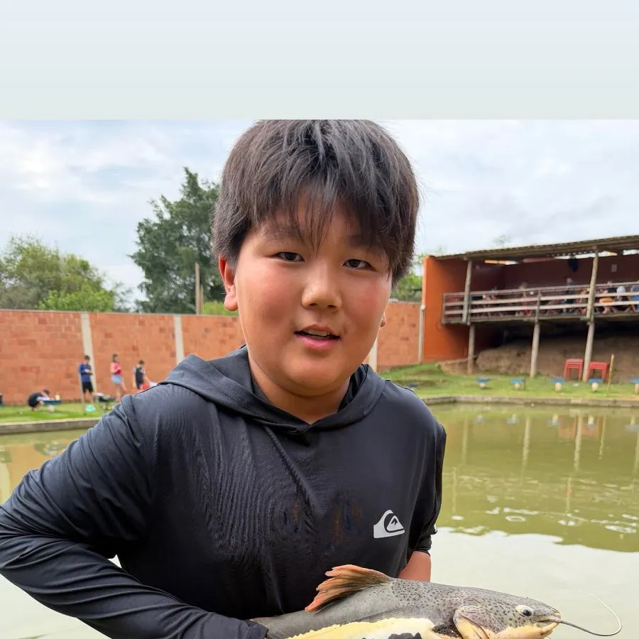 The most recent Redtail catfish catches on Fishbrain