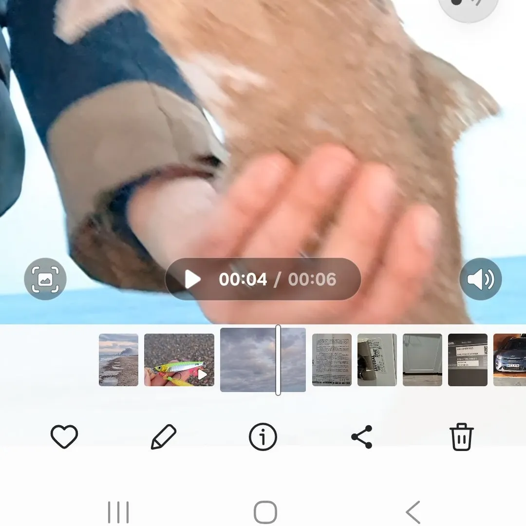 The most recent Bluefish catches on Fishbrain