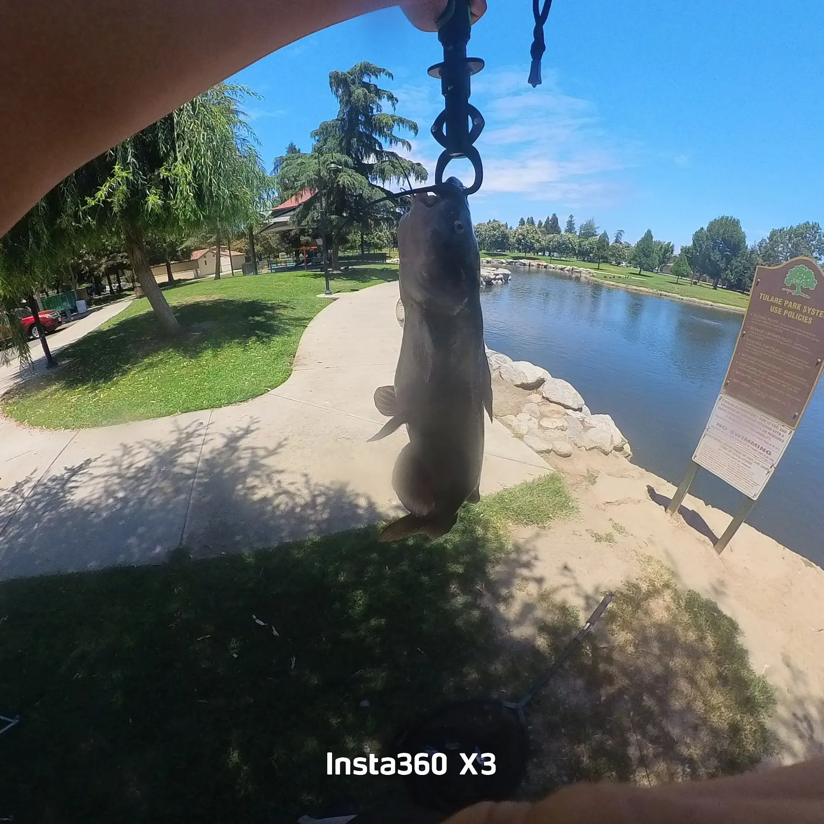 catch