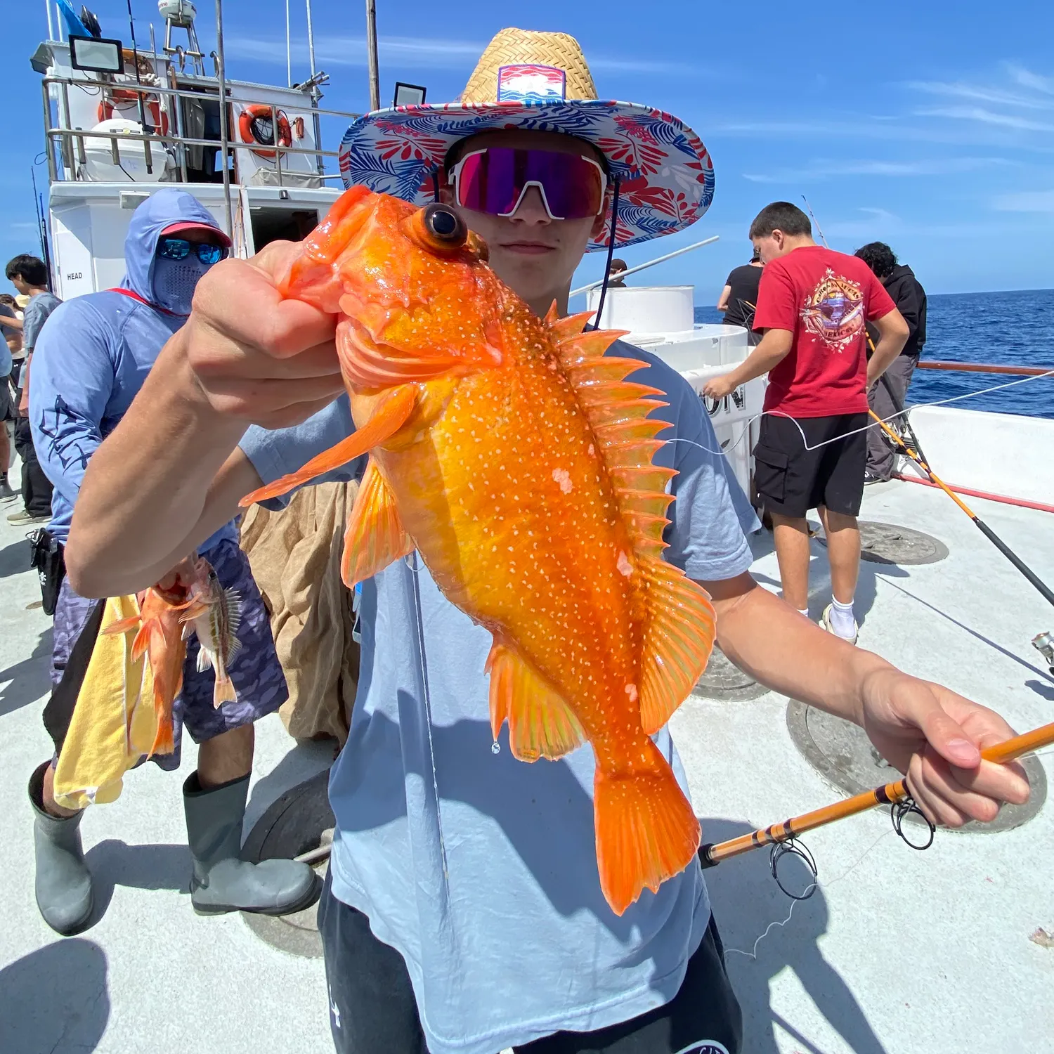 The most recent Starry rockfish catches on Fishbrain