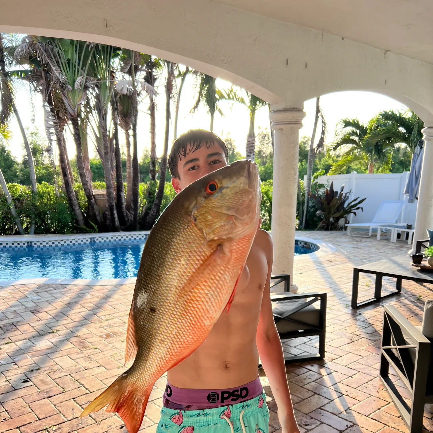 The most recent Mutton snapper catches on Fishbrain