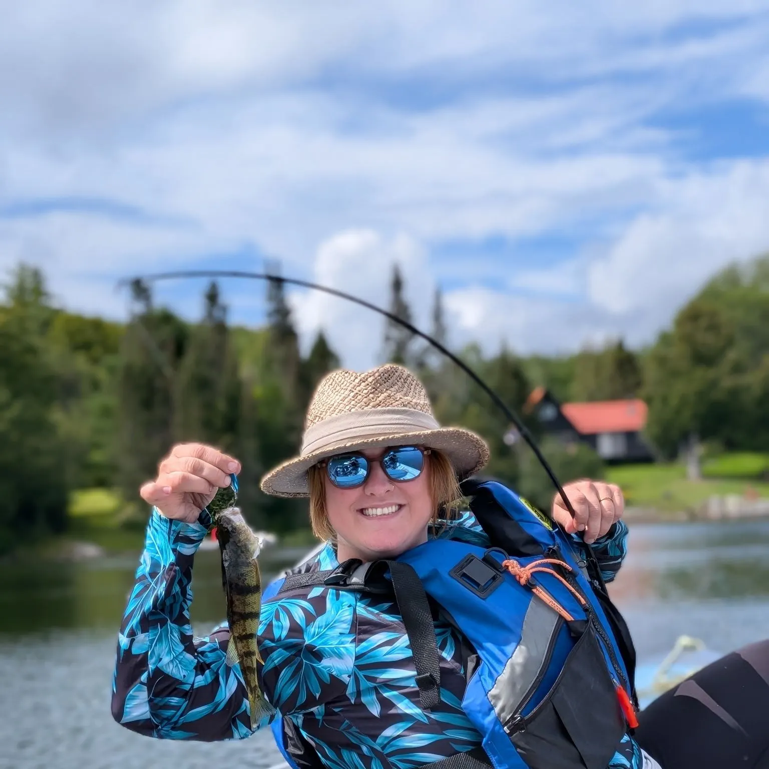 Yellow perch caught on Fishbrain