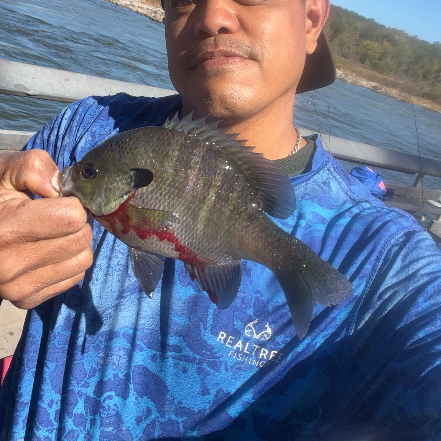Bluegill caught on Fishbrain