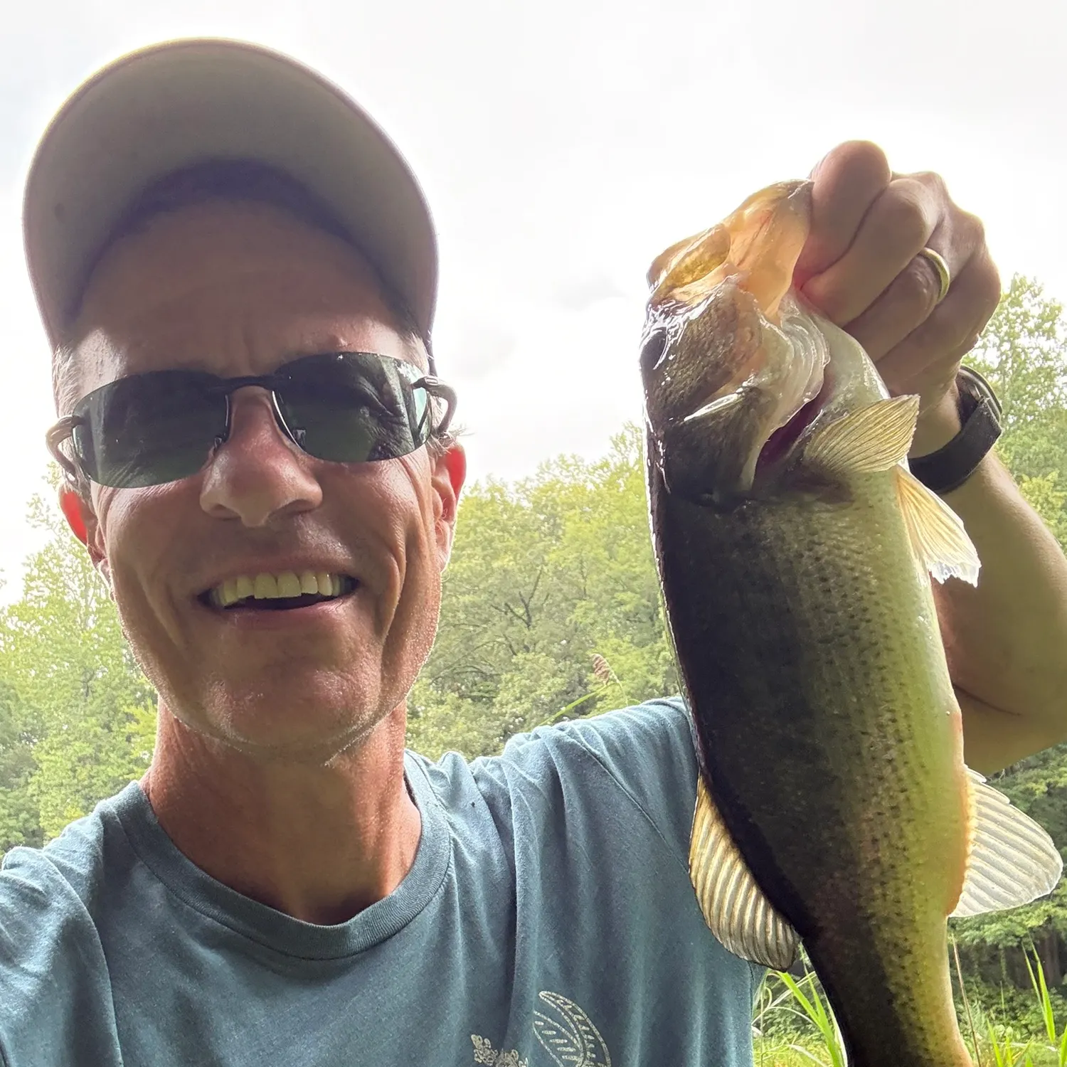 Largemouth bass caught on Fishbrain