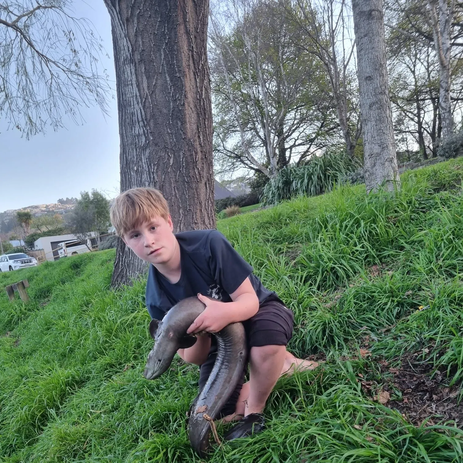 The most recent New Zealand longfin eel catches on Fishbrain