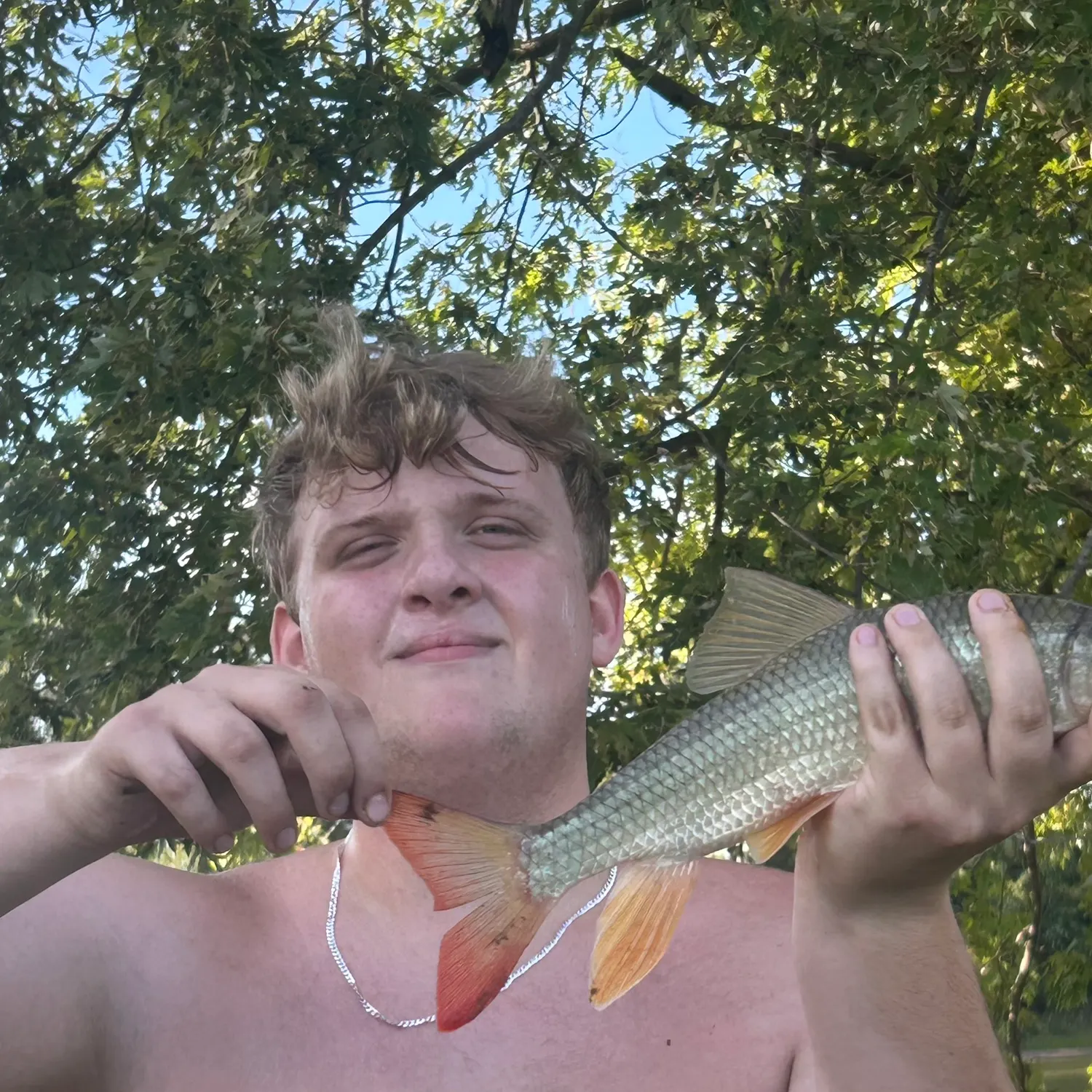Shorthead redhorse caught on Fishbrain