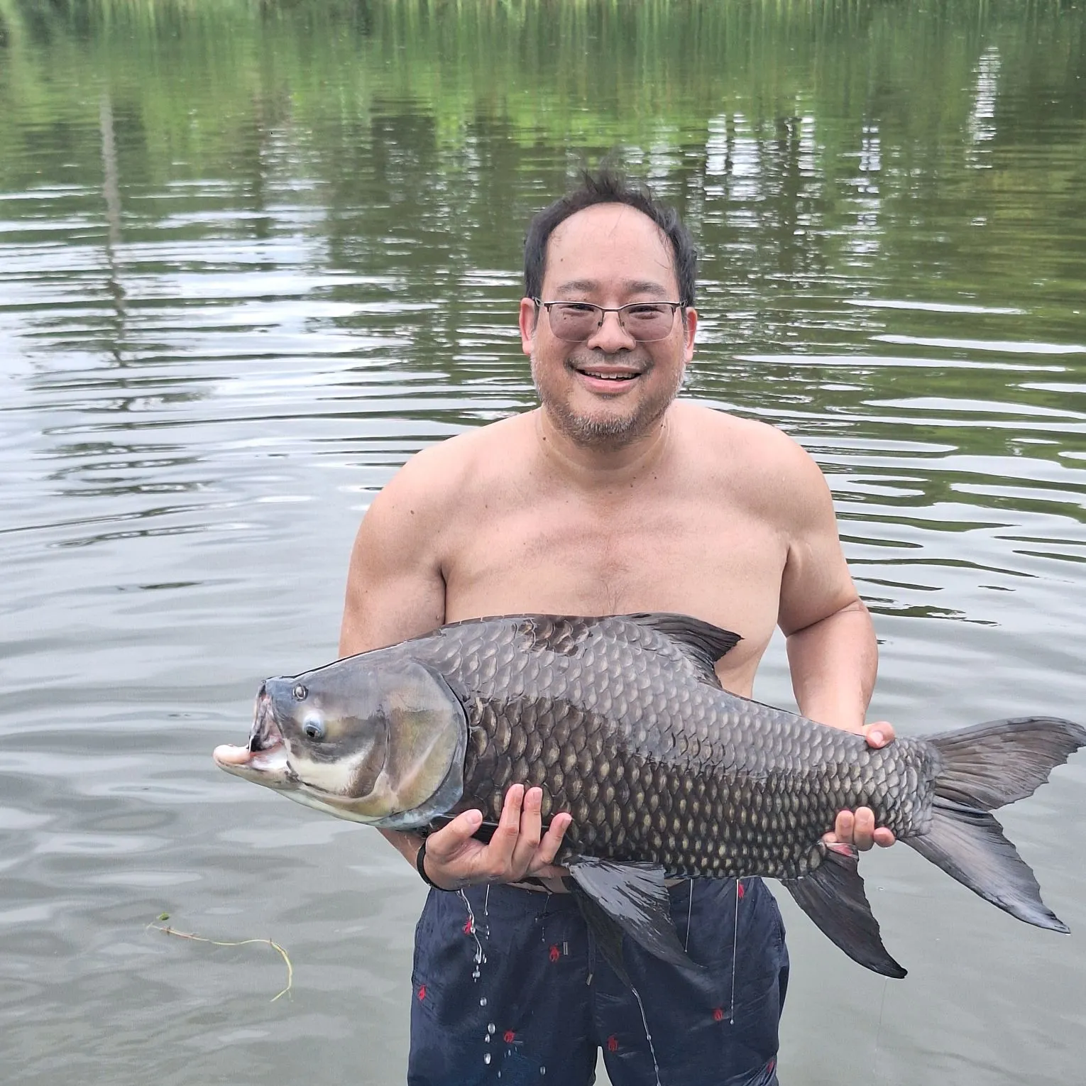 The most recent Siamese carp catches on Fishbrain