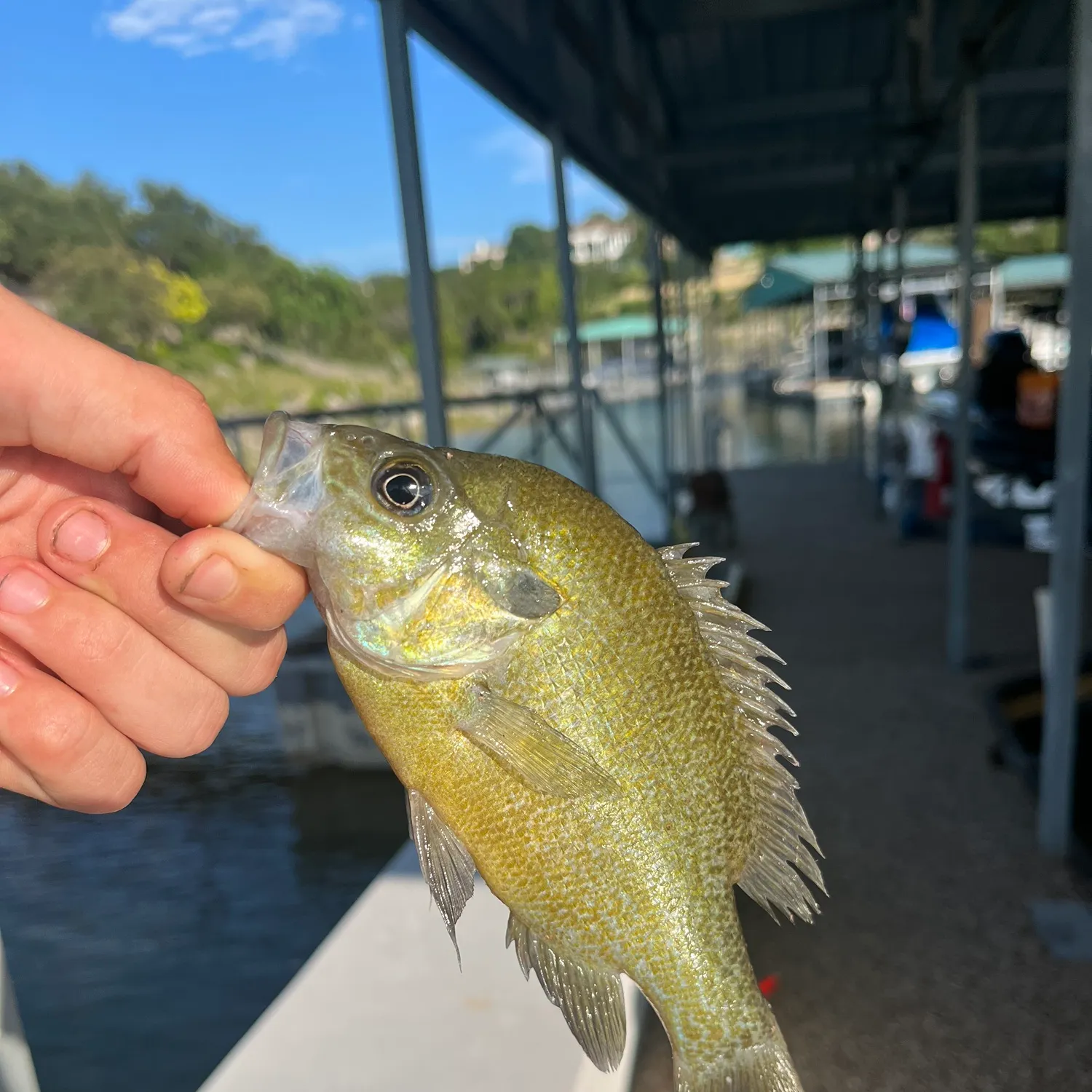 catch