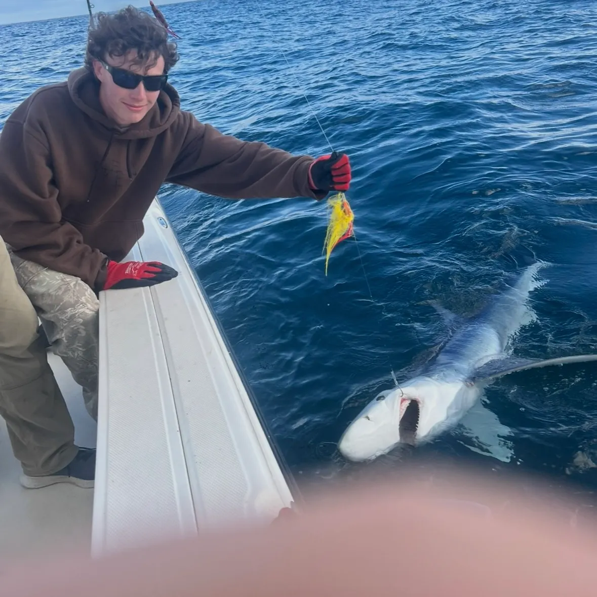 The most recent Blue shark catches on Fishbrain