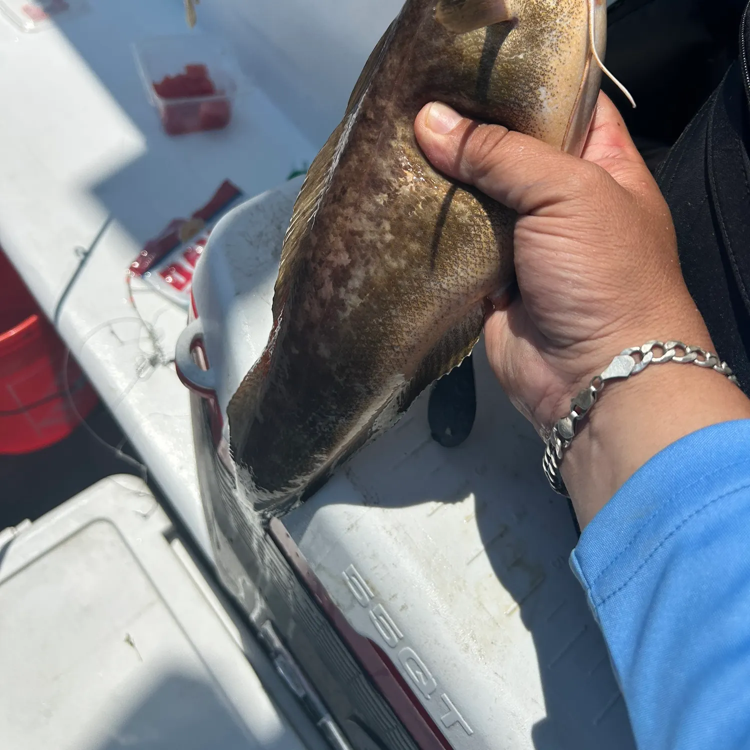 most liked catch image