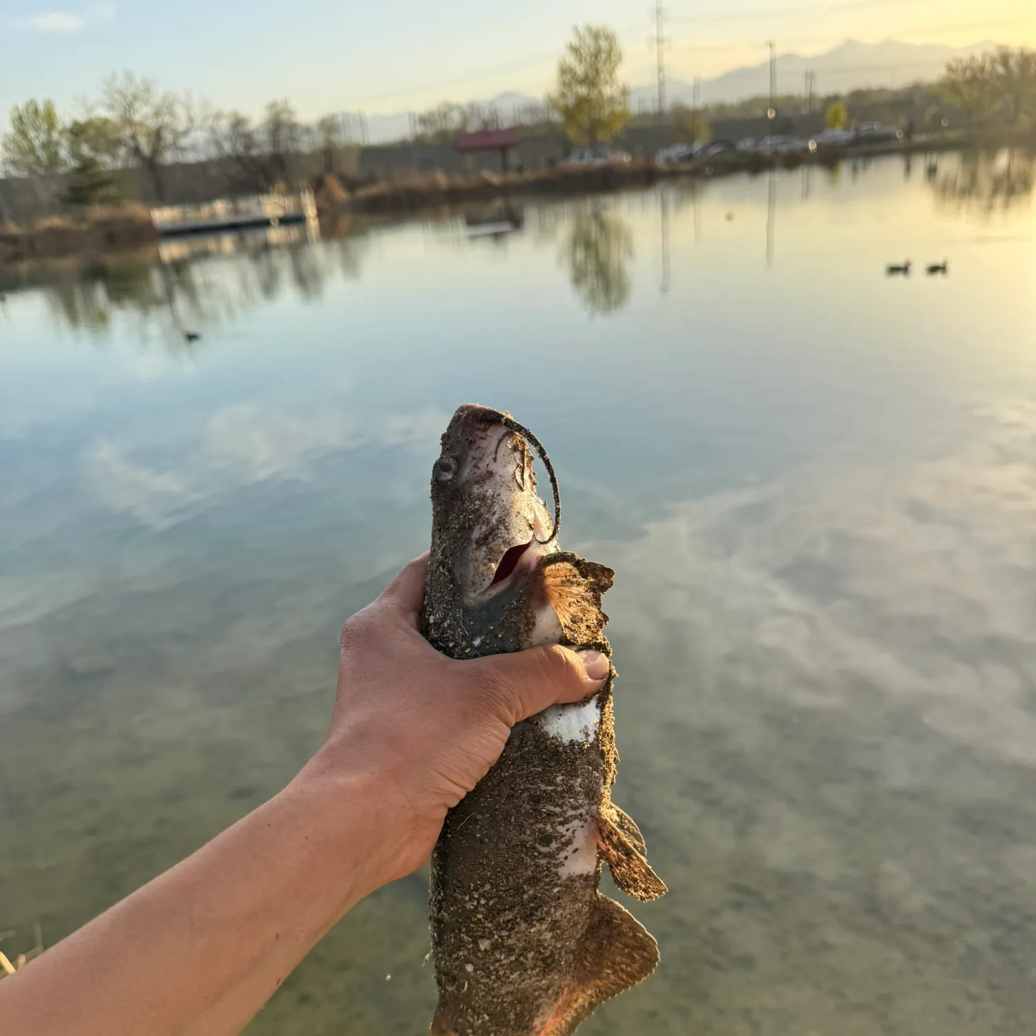 catch
