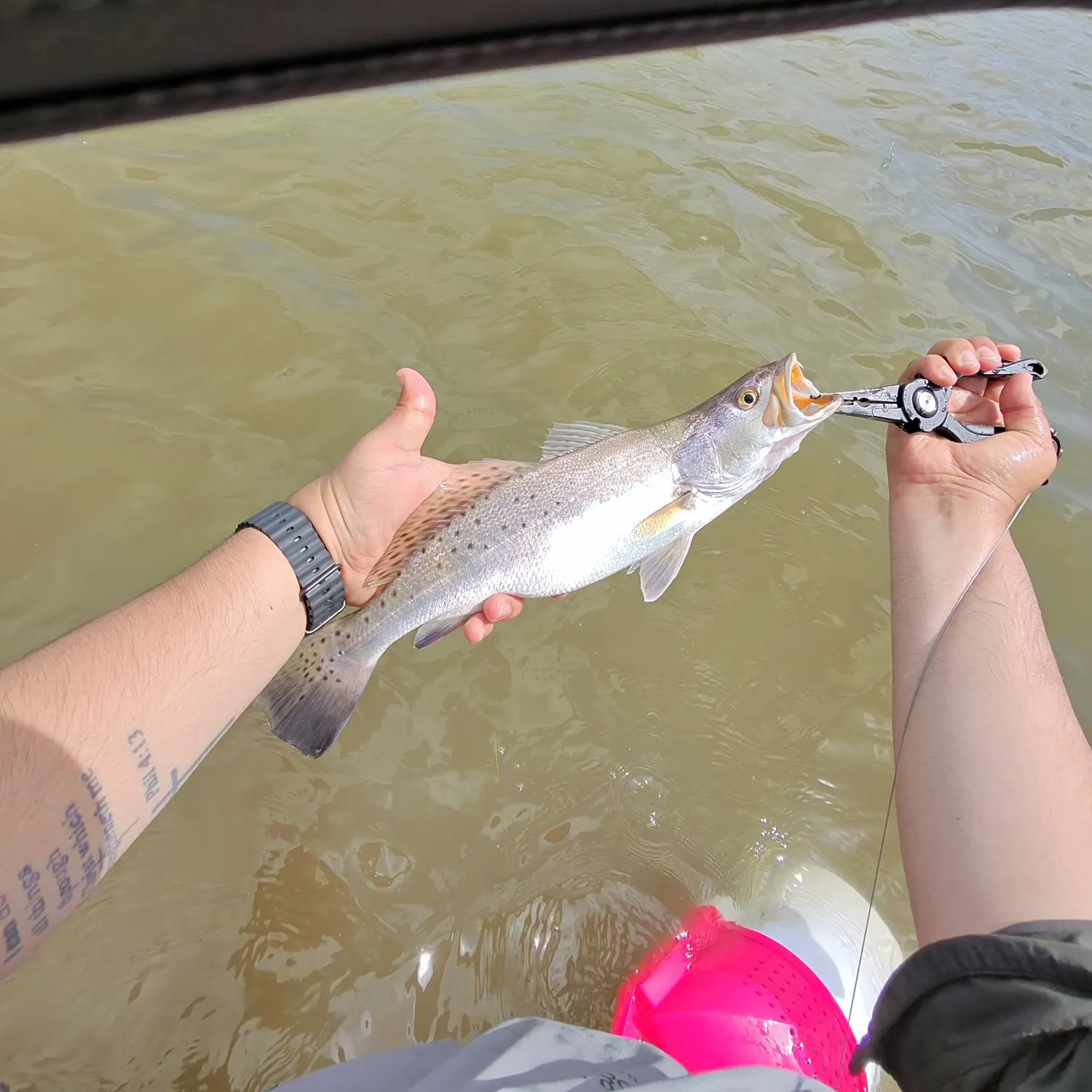 catch