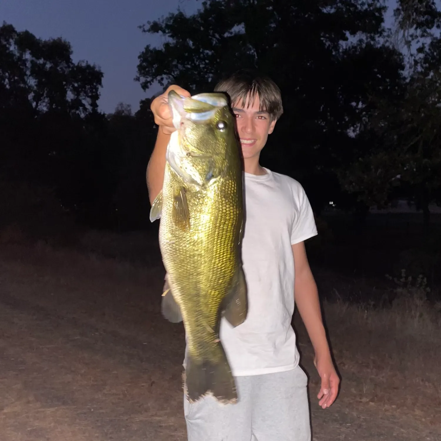 Largemouth bass caught on Fishbrain