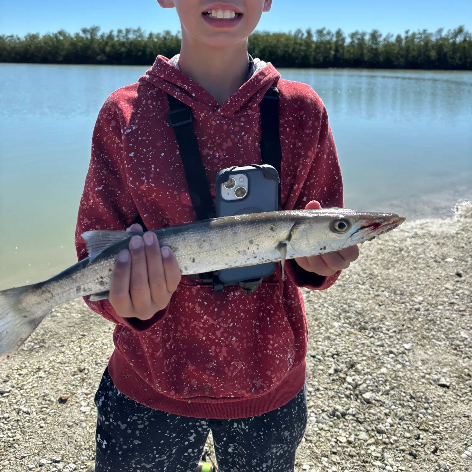 The most recent Great barracuda catches on Fishbrain