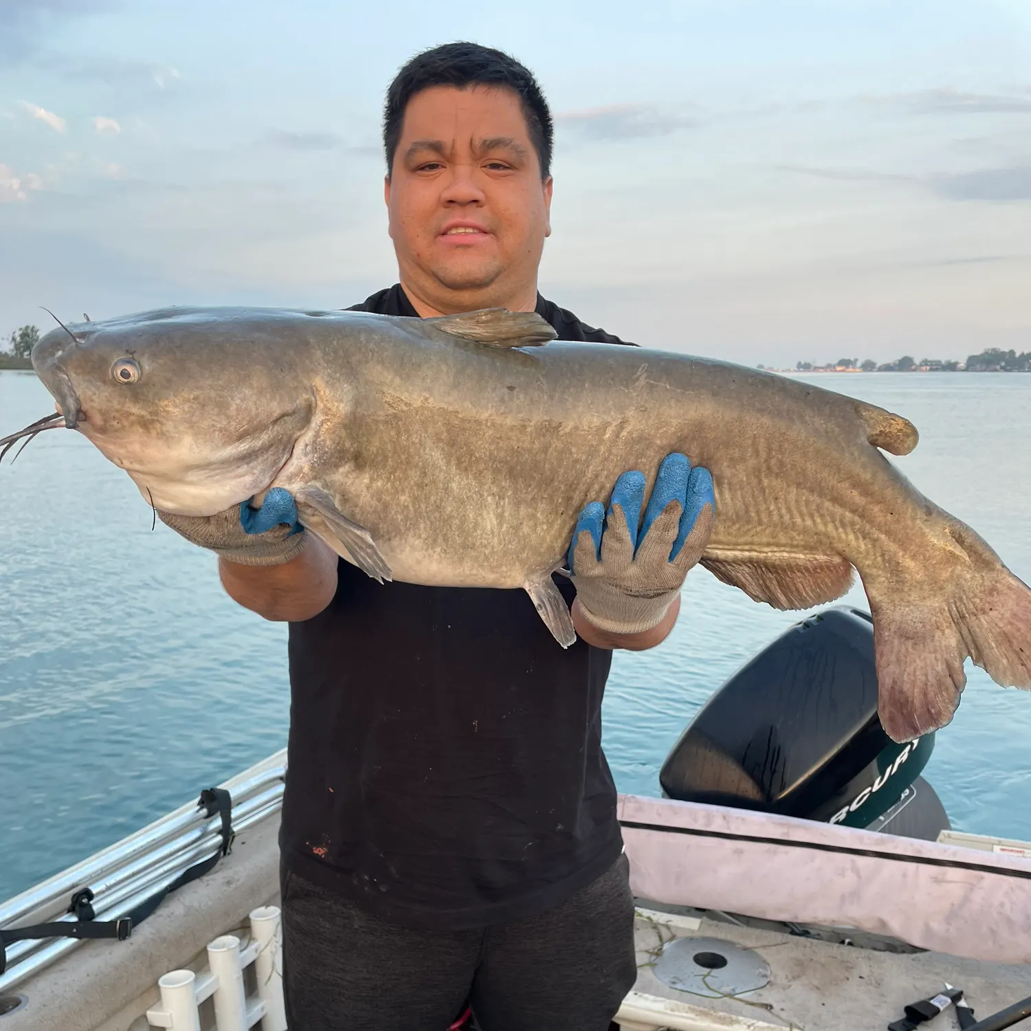 Channel catfish caught on Fishbrain