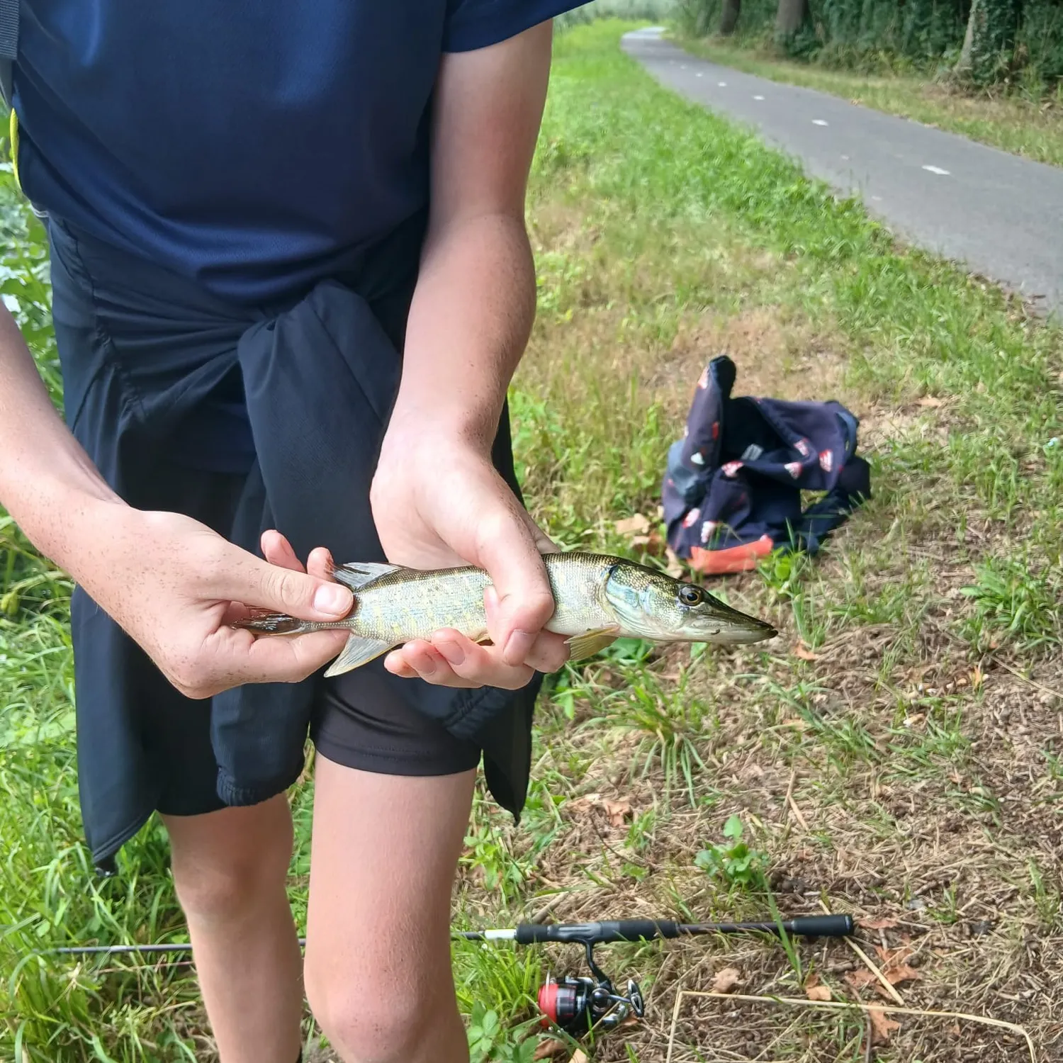 Northern pike caught on Fishbrain
