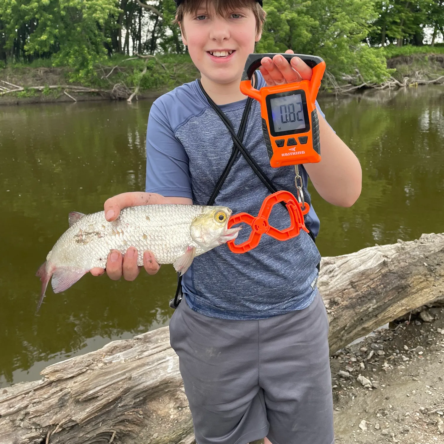 The most recent Goldeye catches on Fishbrain