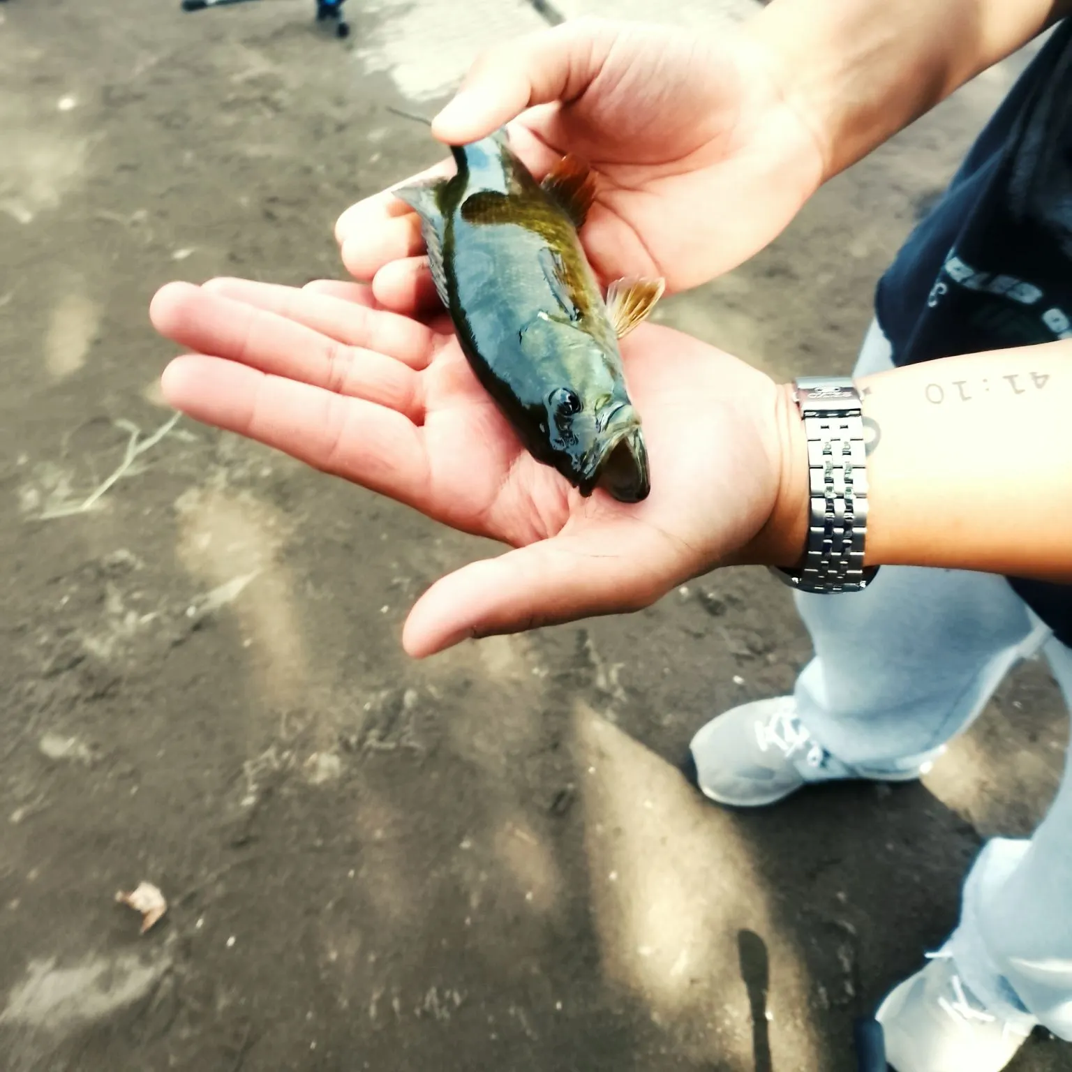 catch