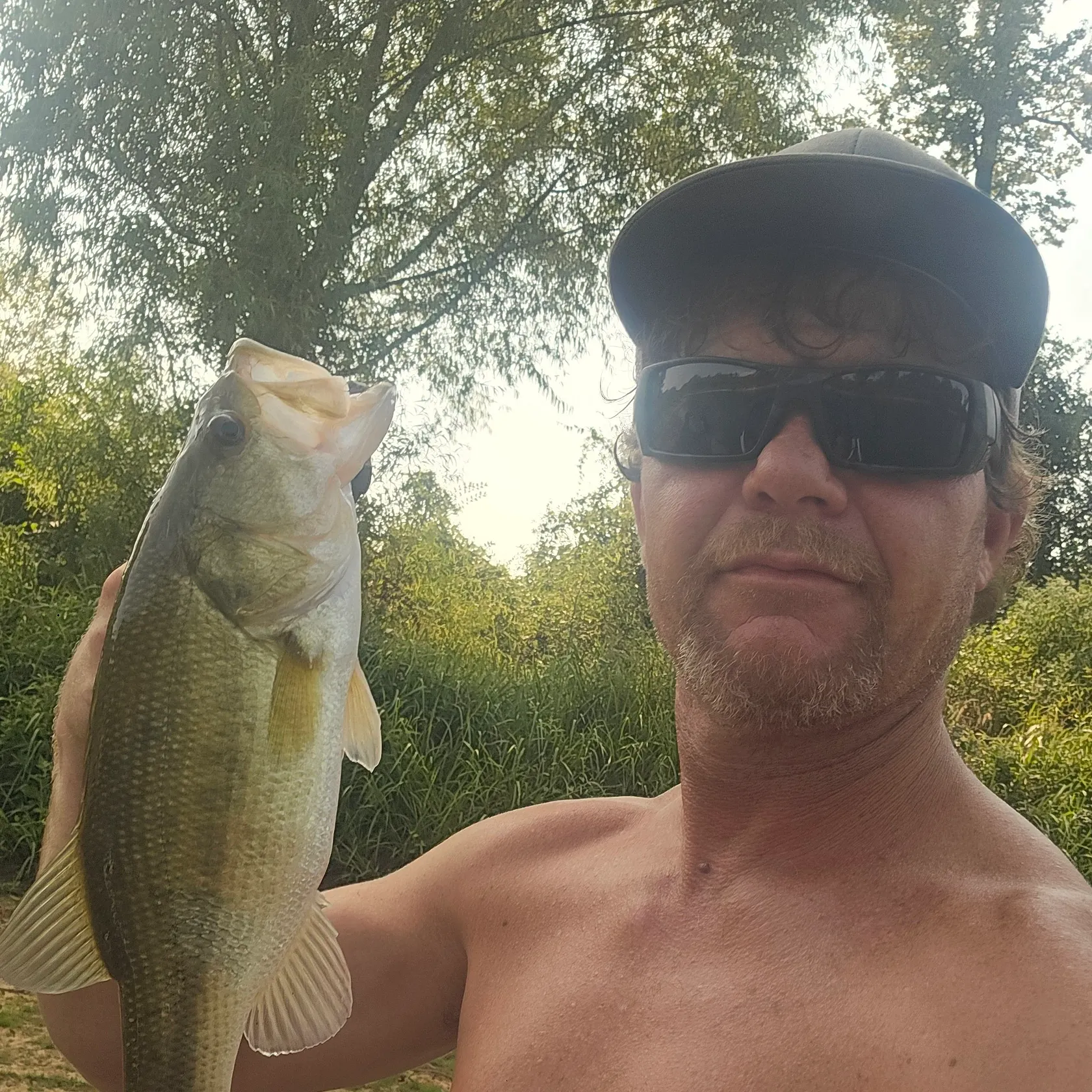 Largemouth bass caught on Fishbrain