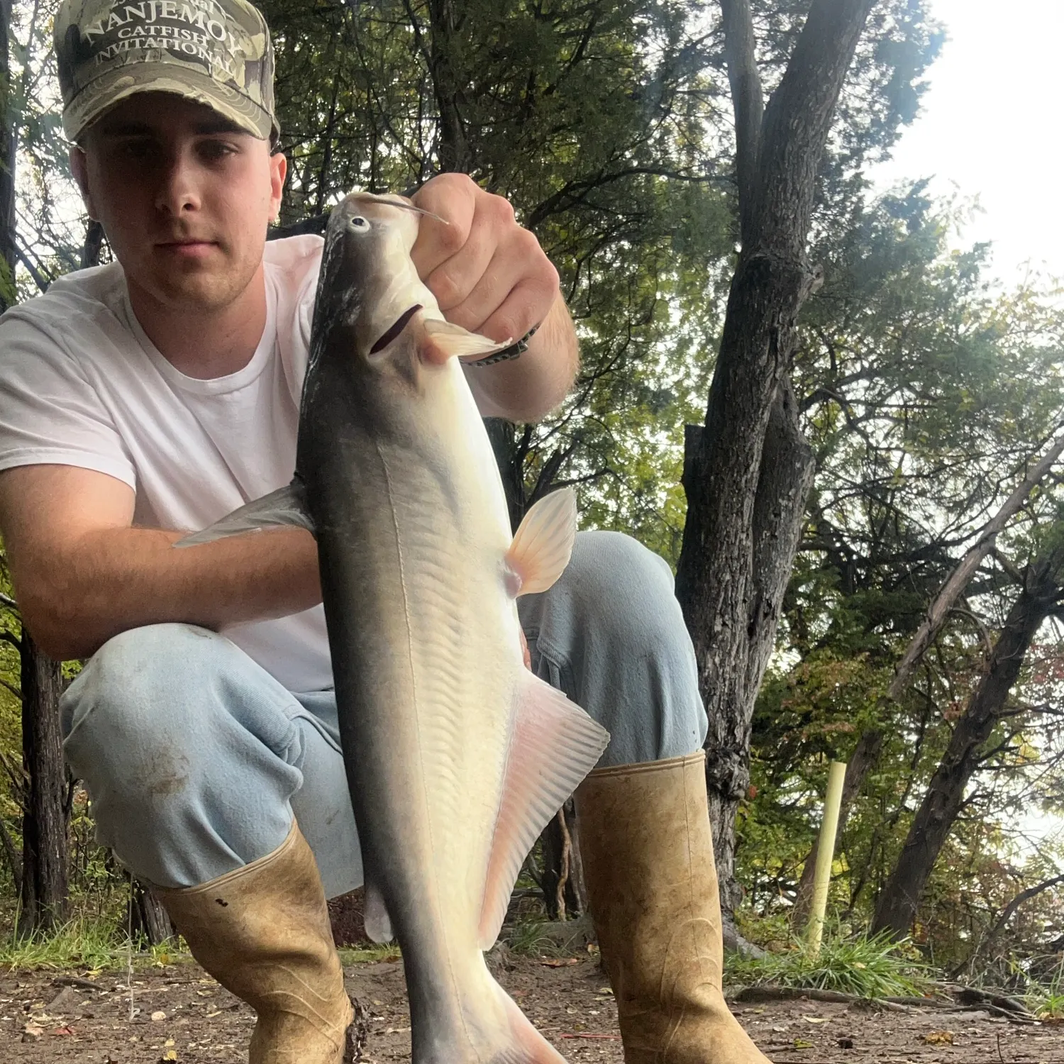 Blue catfish caught on Fishbrain